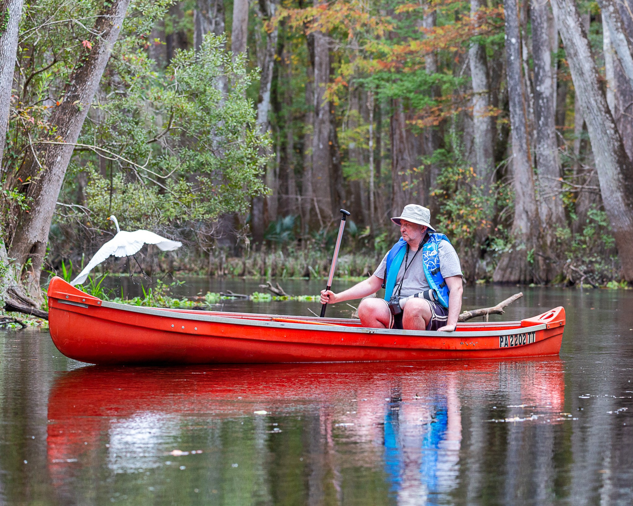 Exploring True Florida: Springs, Rivers & Manatees by Canoe. Pet, Senior, Landscape, portrait studio, photographer in Miami and Sou