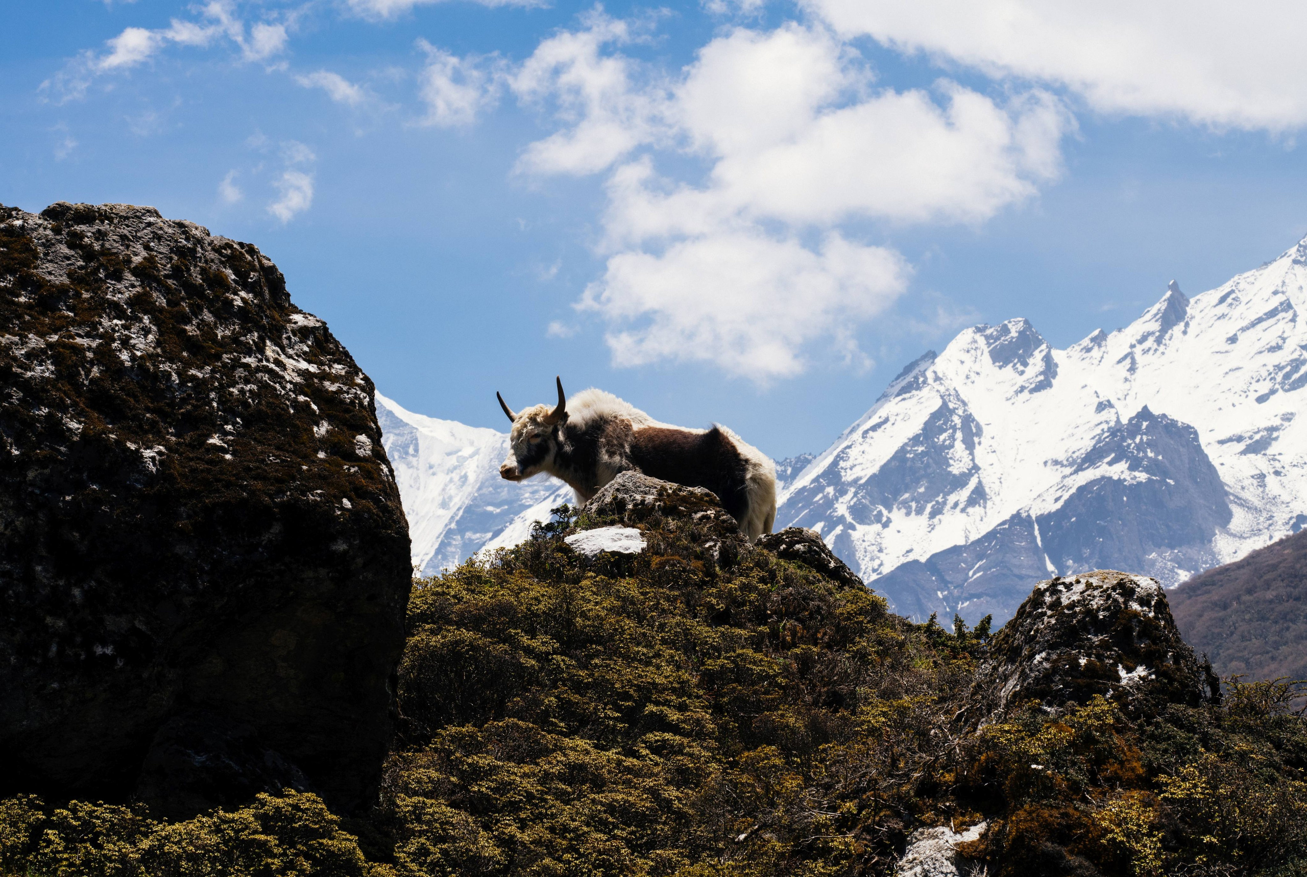 Nepal. Artjom Kutuzov Photography