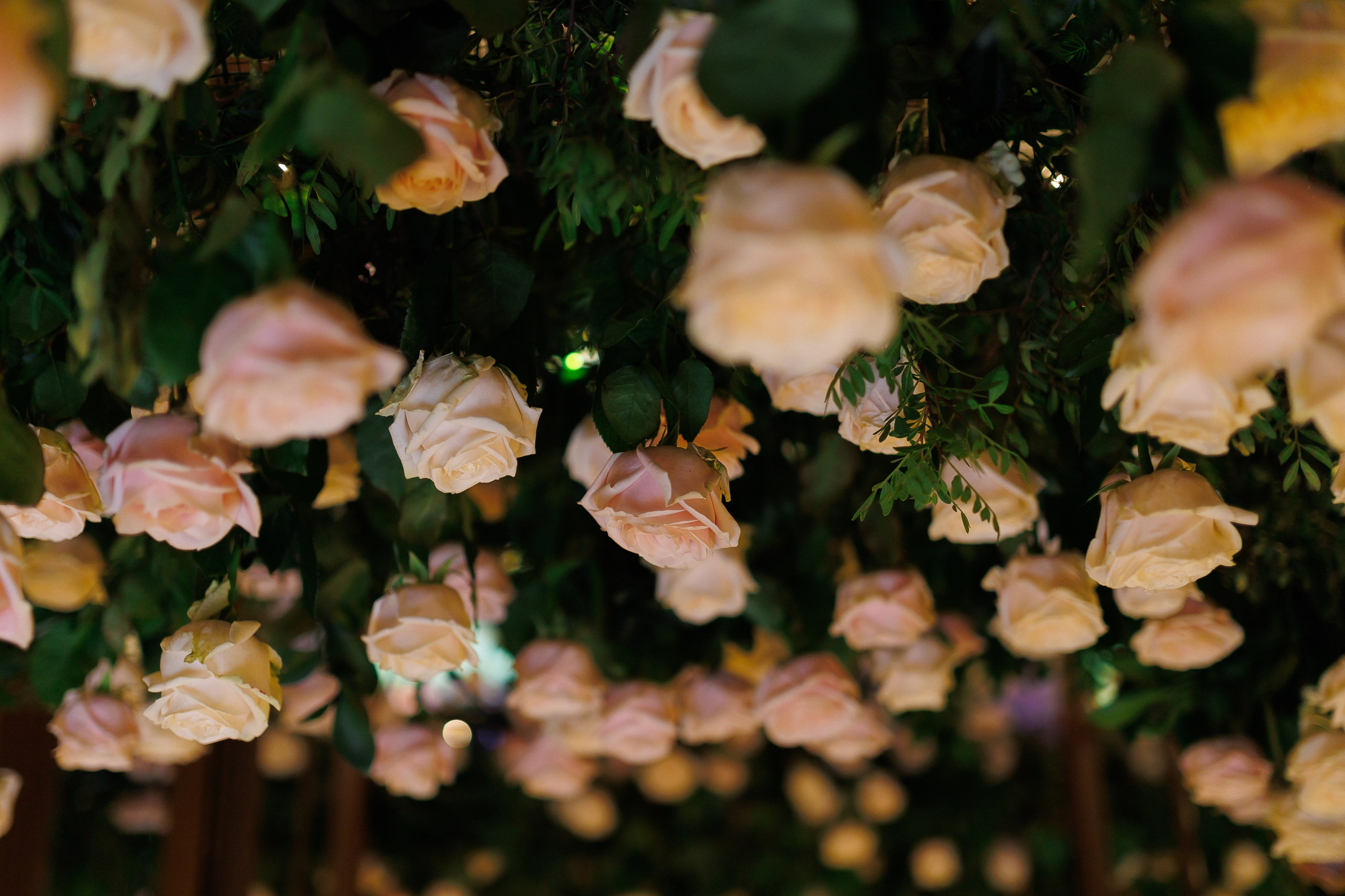 CRISTINA + CĂTĂLIN  BUCUREȘTI. Fulga Photographer