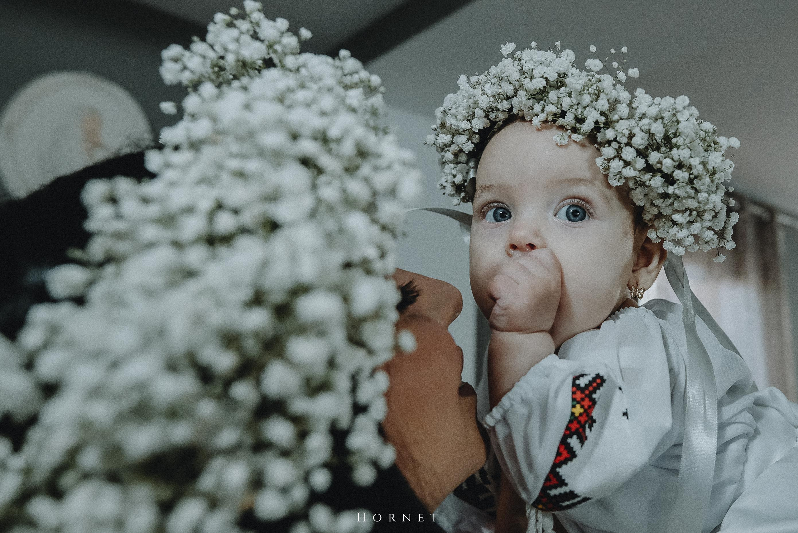Ava Ioana. Hornetart