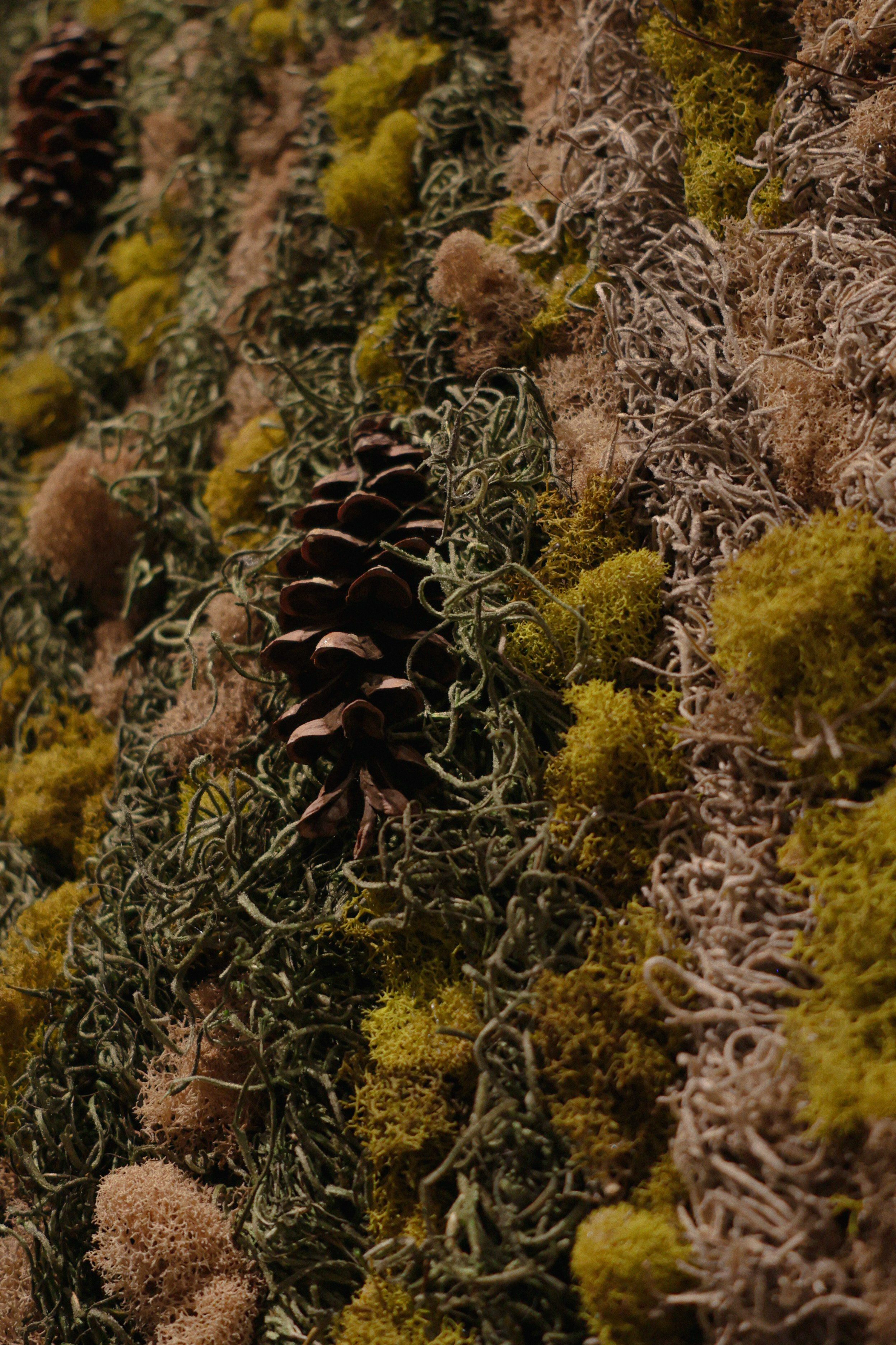 Anna & Moss magic, Content. Yana Bobrova | Artistic Photography