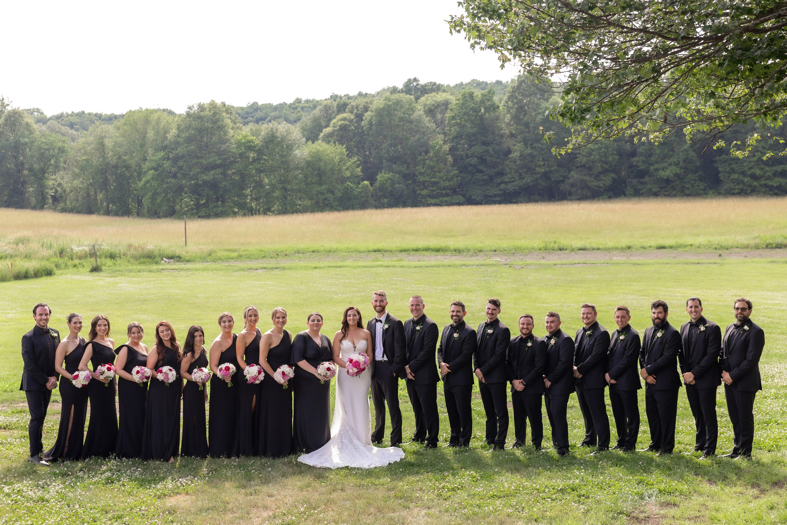 Angelica & Conor. Wedding Photo & Video