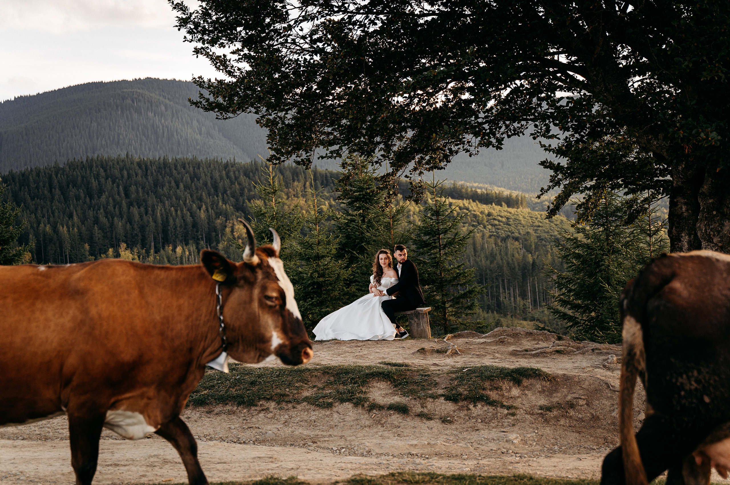 Анонс. Роман & Соломія. Весільний та портретний фотограф Кизим Арсен