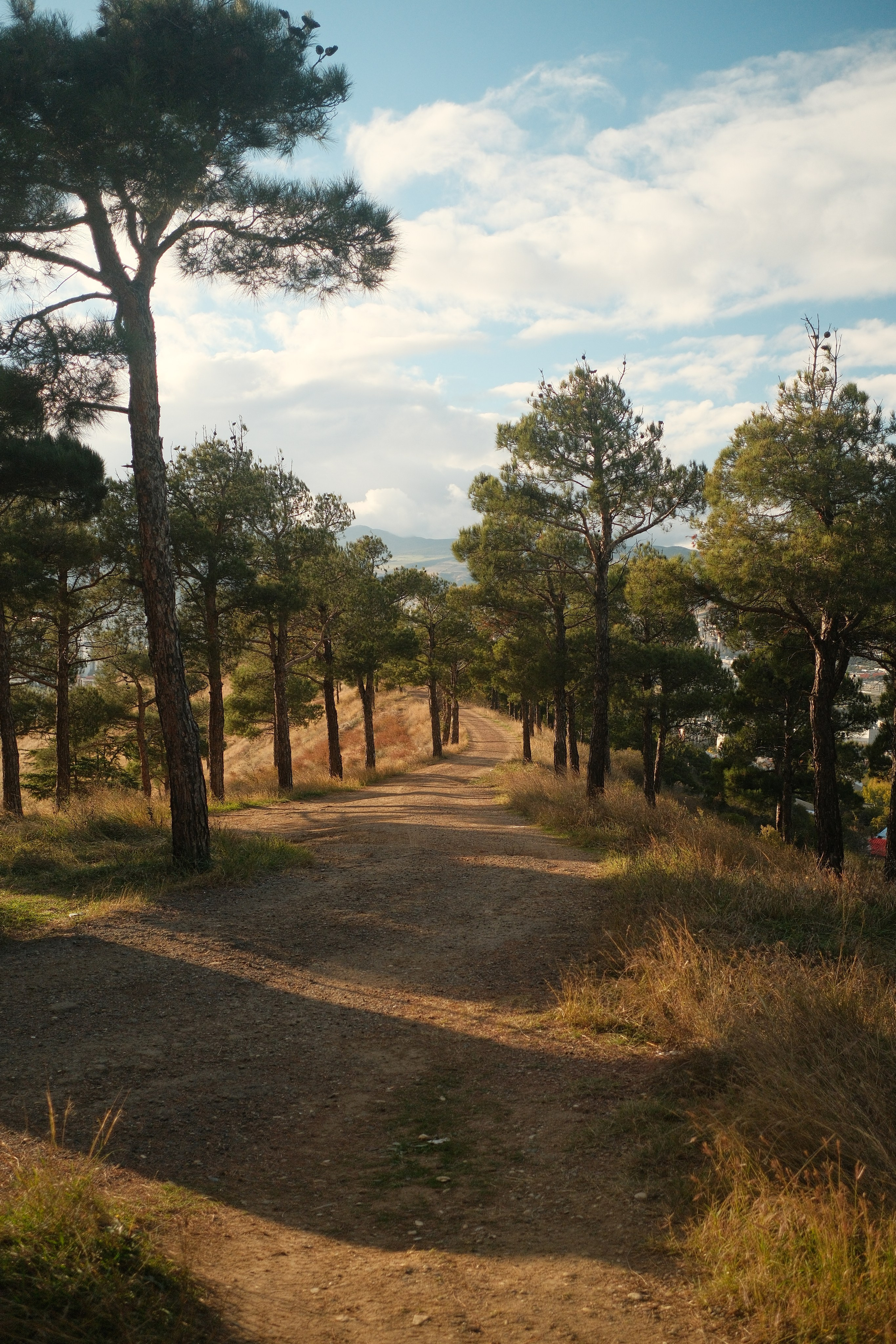 Georgia. Portrait and Lifestyle Photographer in Vienna — Nick Pavlov