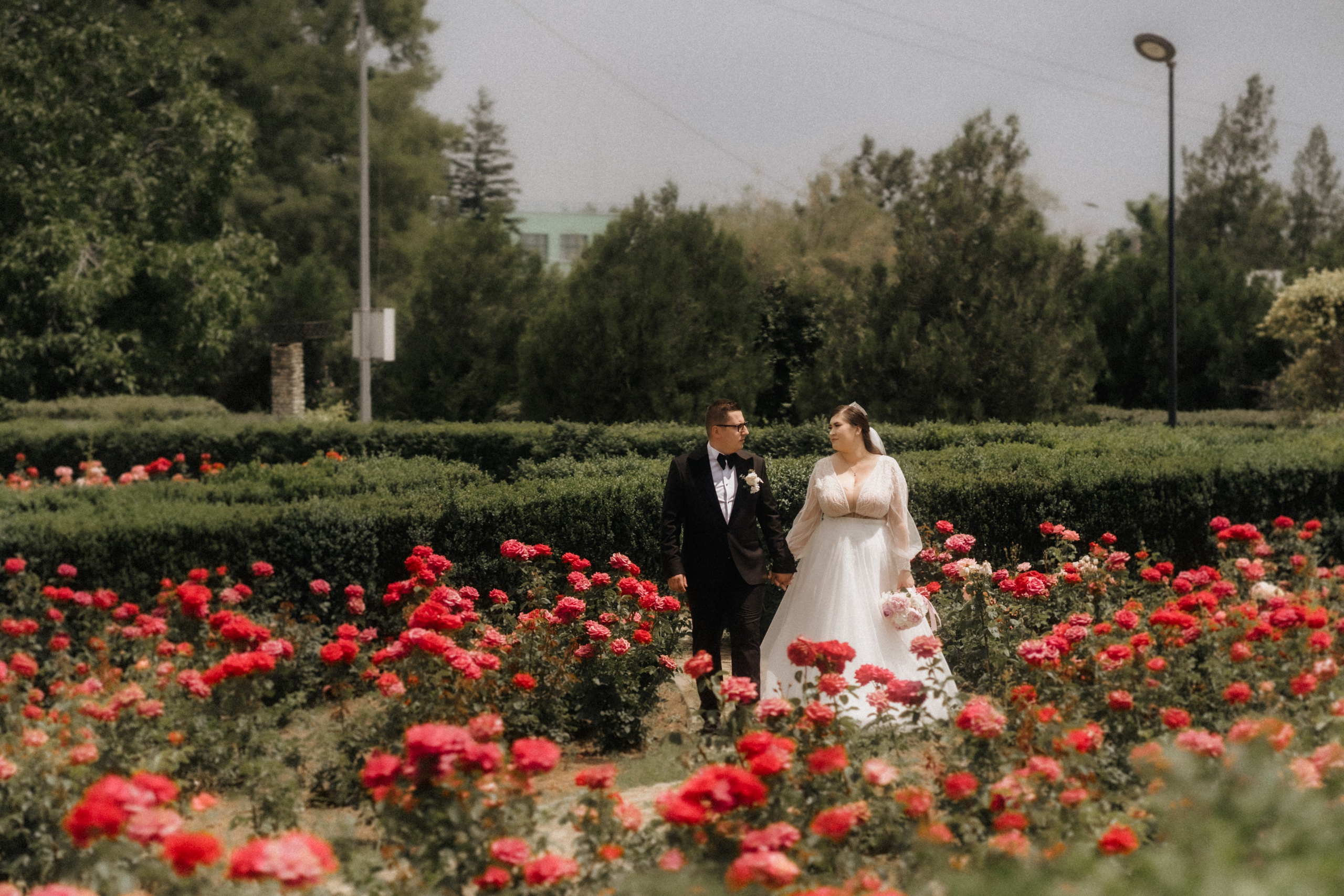 Andreea - Dan | Buzau. Fotografie & Videografie Nunta