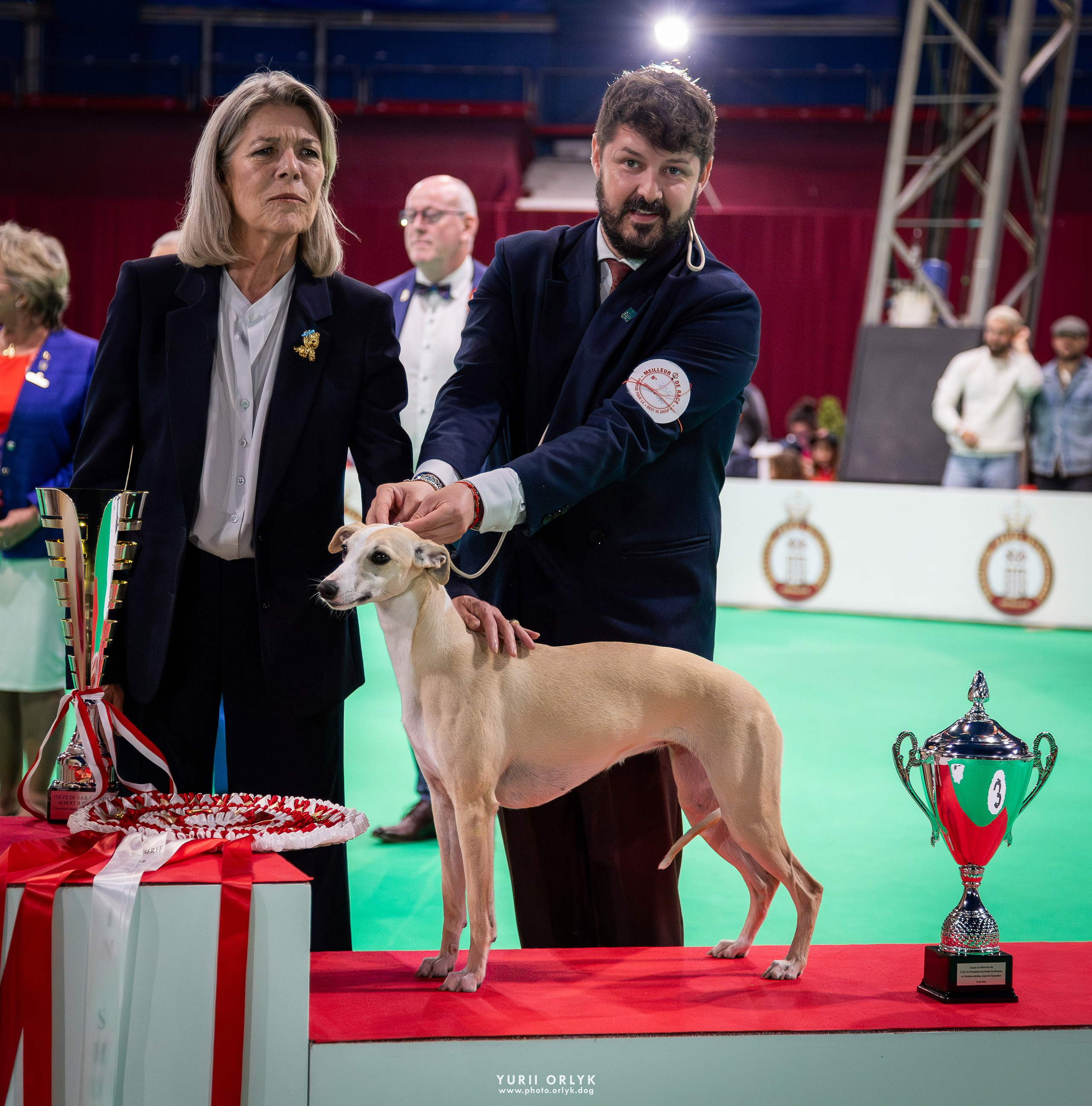 Dog Shows. Yurii Orlyk Photography