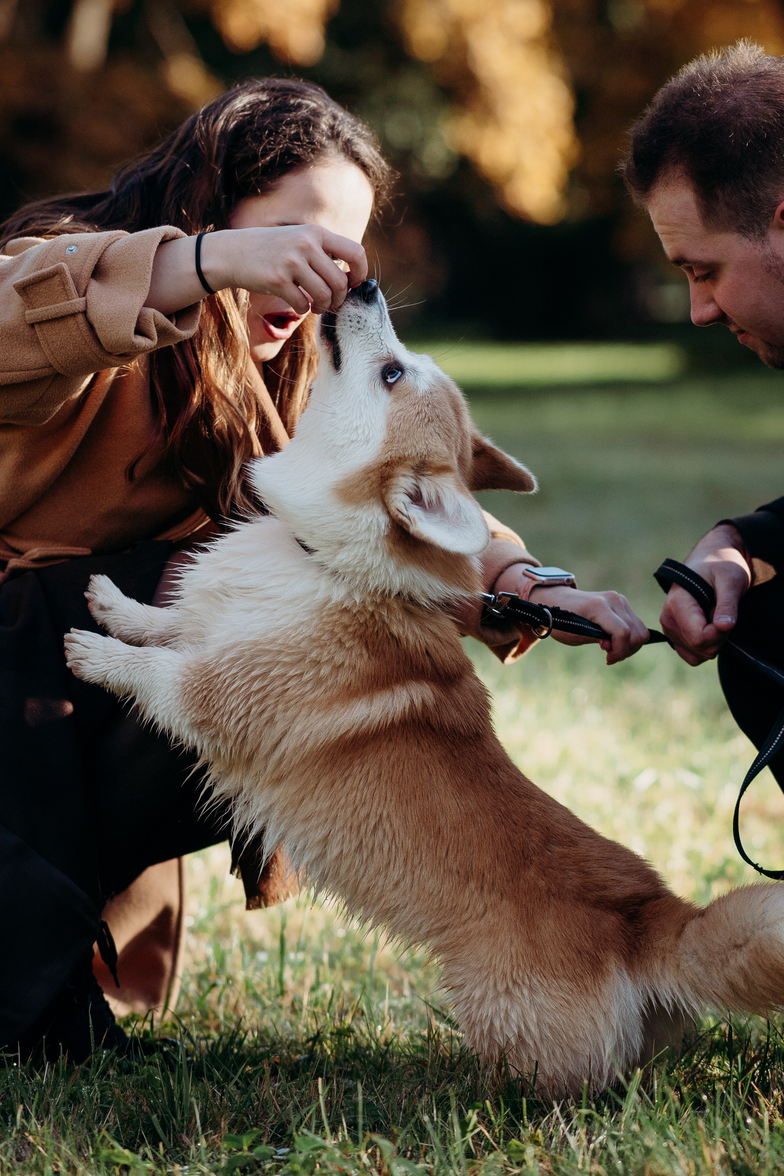 Liisa, Alexander & Marsel. Фотограф-анималист в Таллинне, Катя Лайсаар