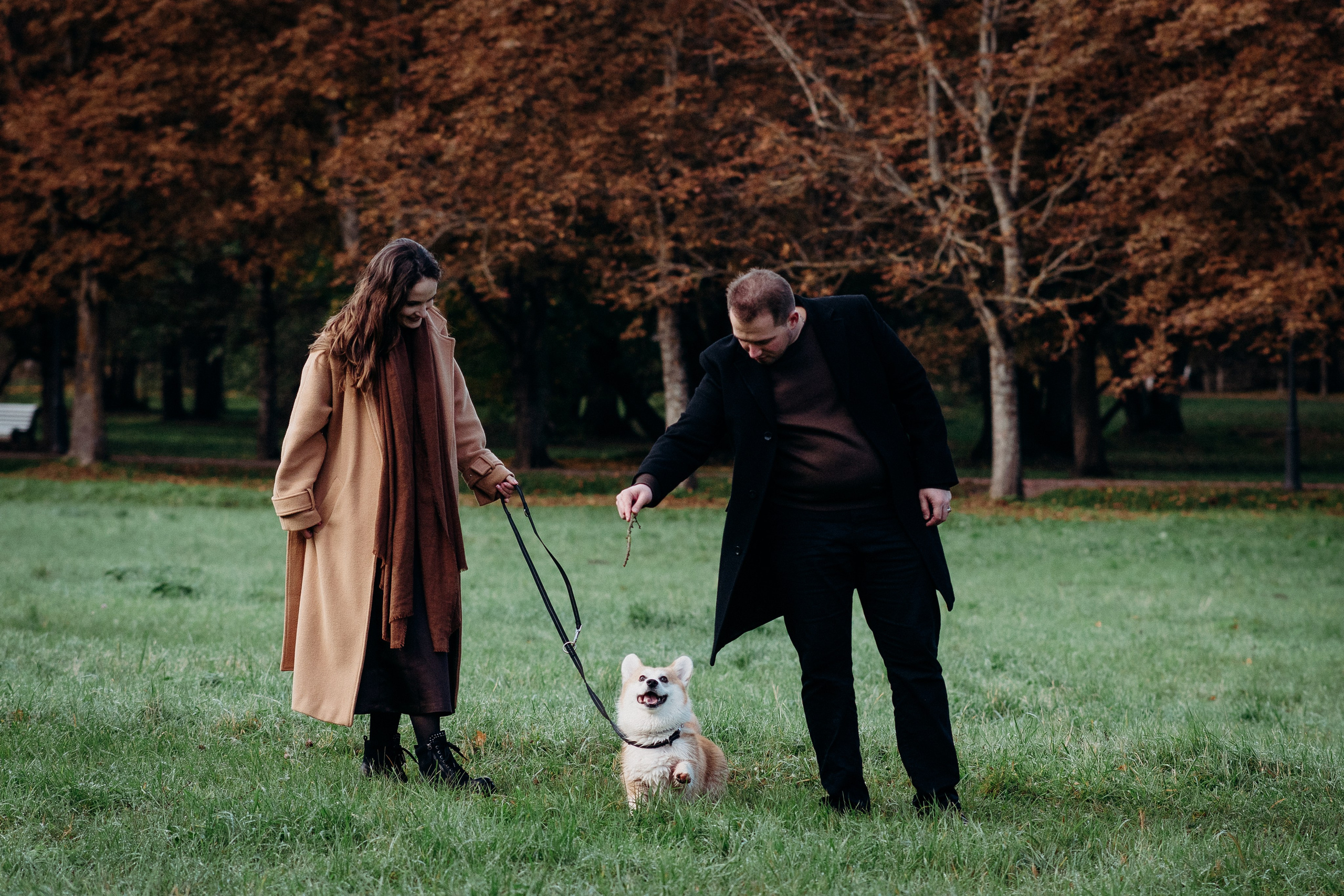 Liisa, Alexander & Marsel. Фотограф-анималист в Таллинне, Катя Лайсаар