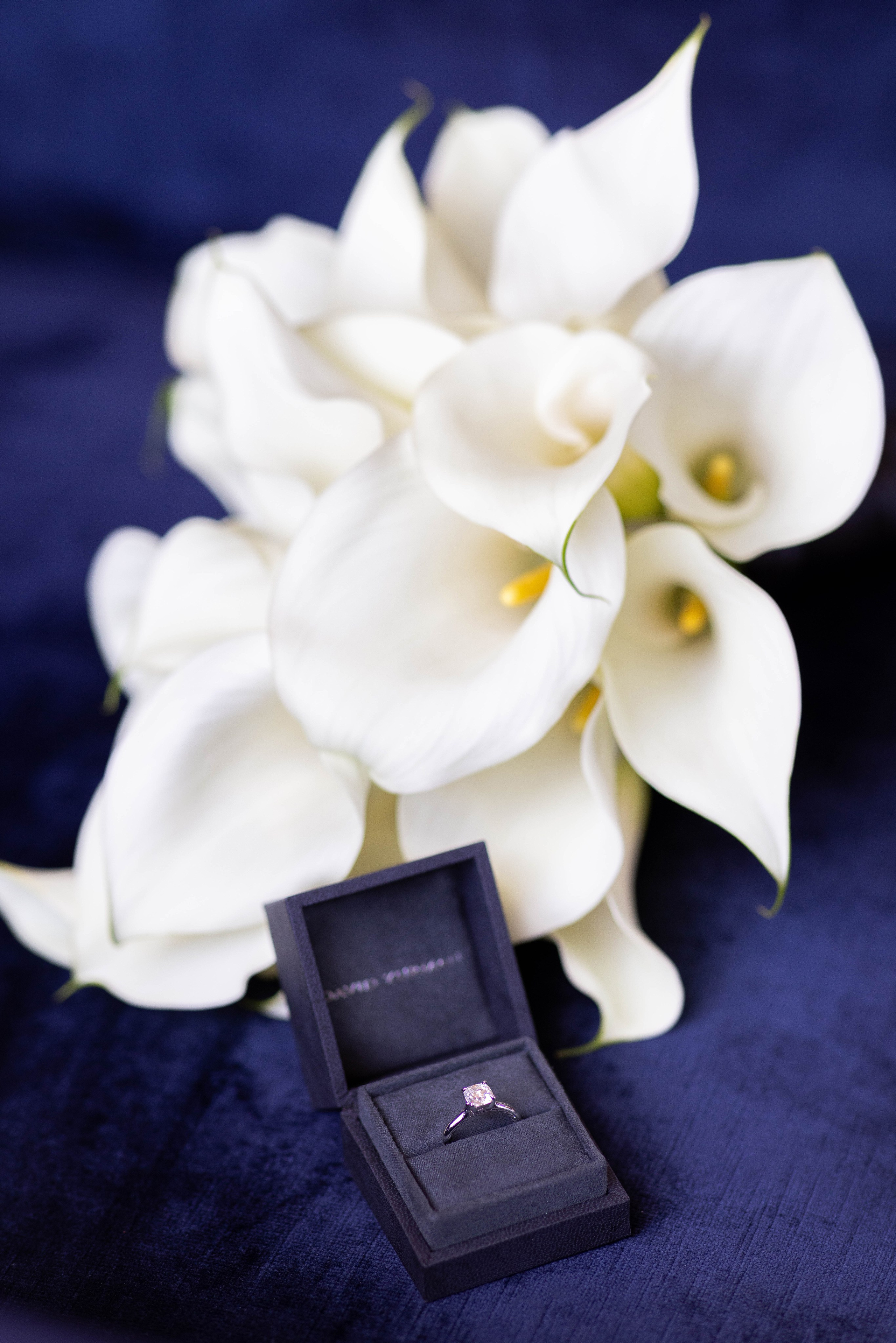 Elegant & Timeless Wedding Photography at Hotel Saskatchewan. Wedding photography and videography in Regina, Saskatchewan