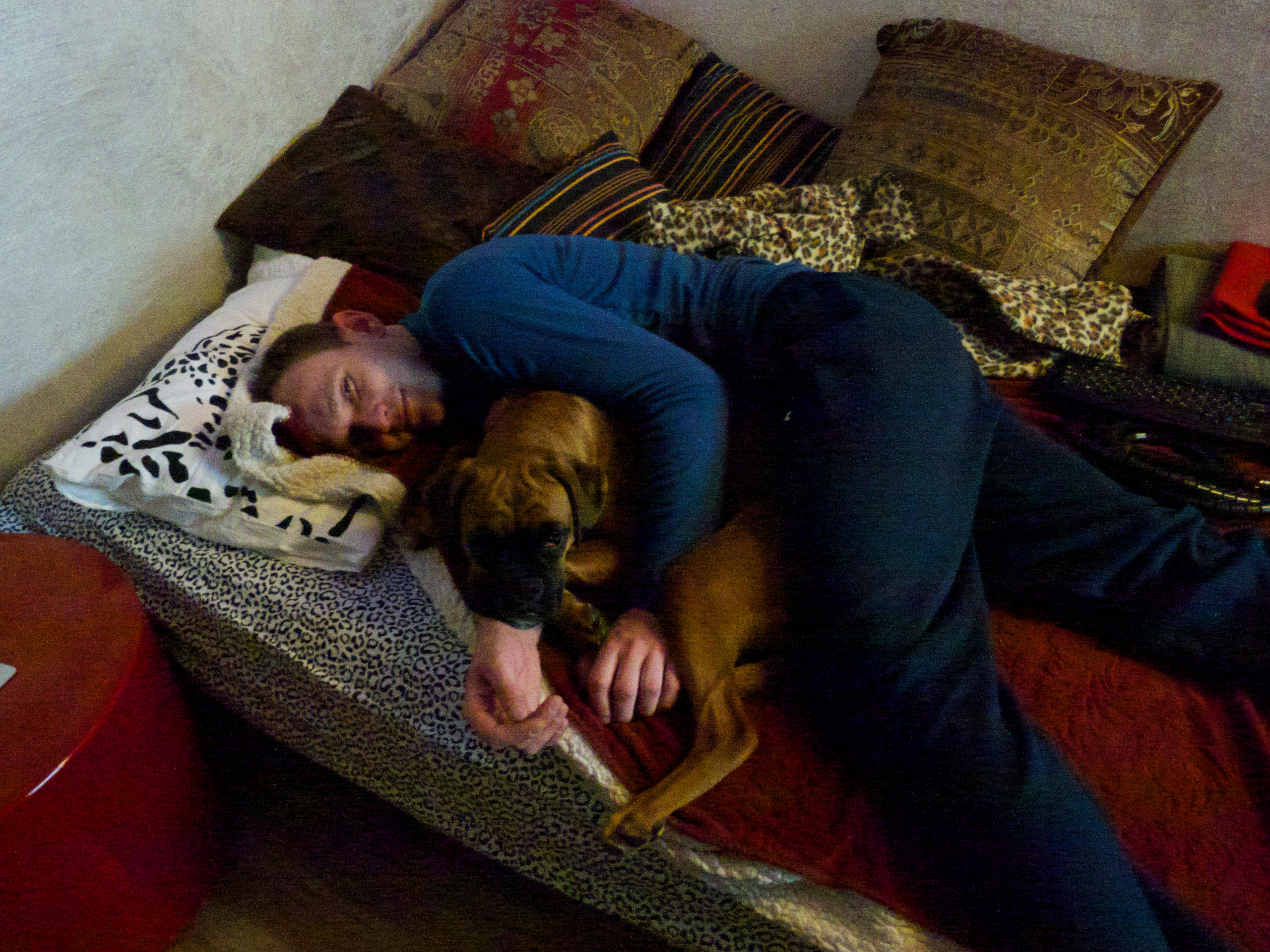 My ״Star״ Boxer Dog