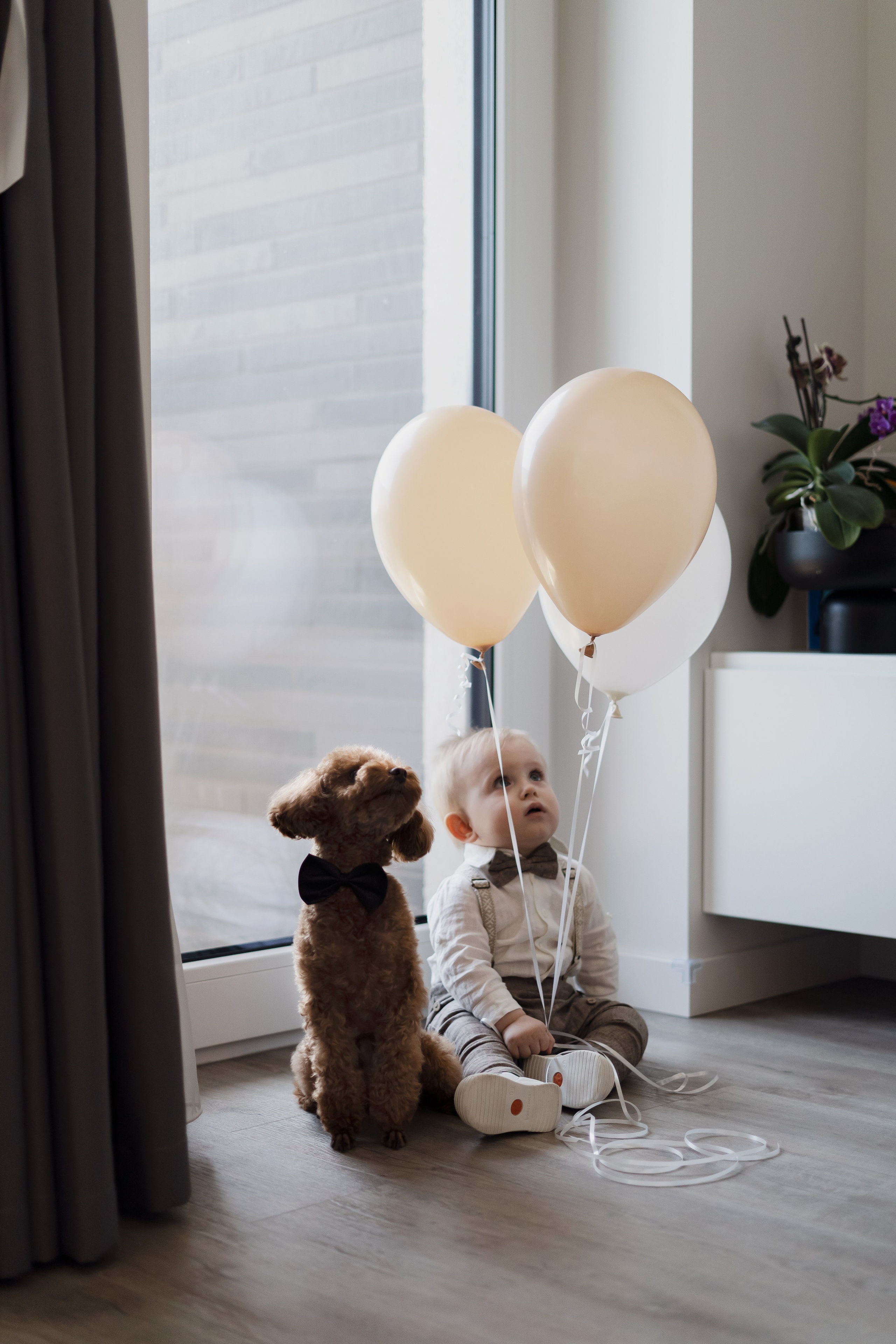 Vakario krikštynos. Fotografė Agnė Navickaitė