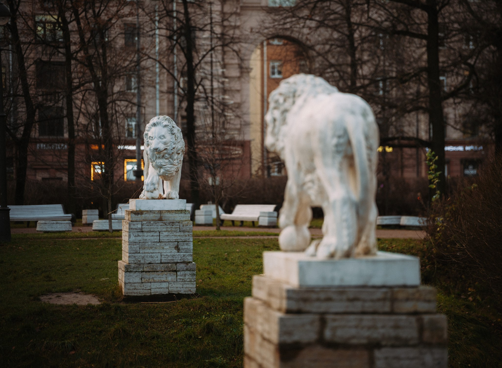 2025. Стрит-фотография, полная абсурда, идиотизма и красоты