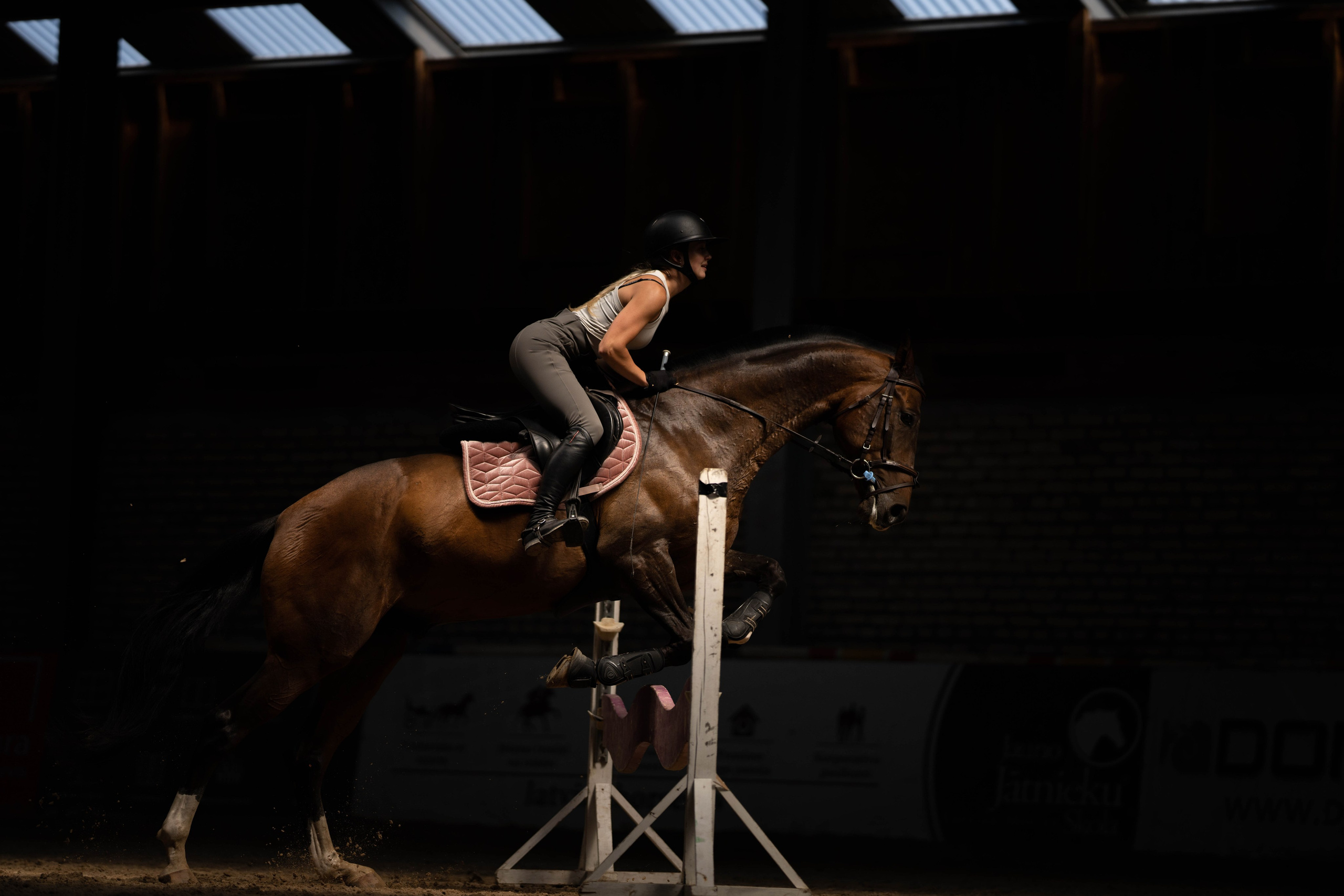 Equestrian sports. Sports and portrait photographer in Riga