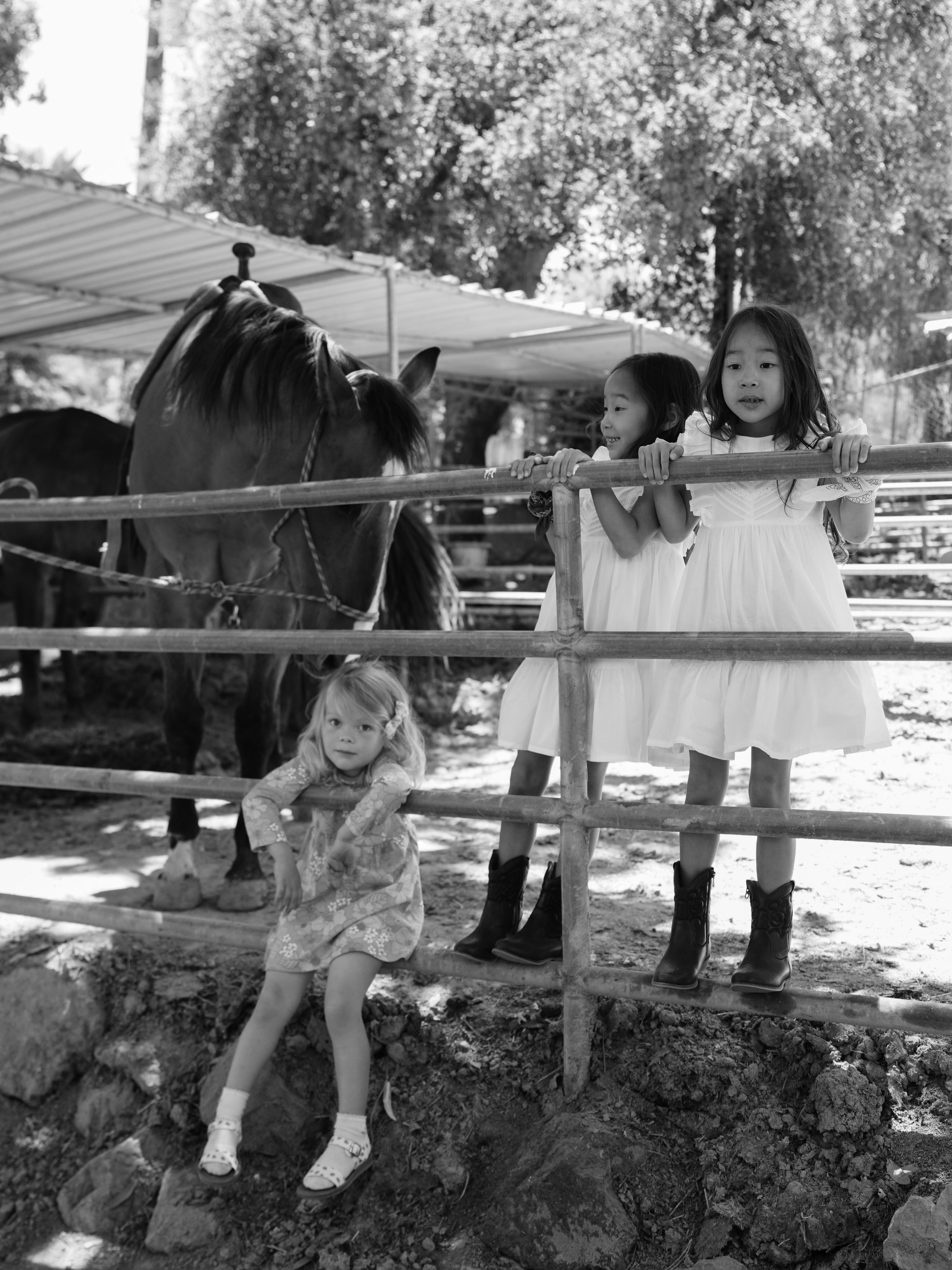 Children with horses. Фотограф и видеограф в США (и по всему миру) — Татьяна Иванова