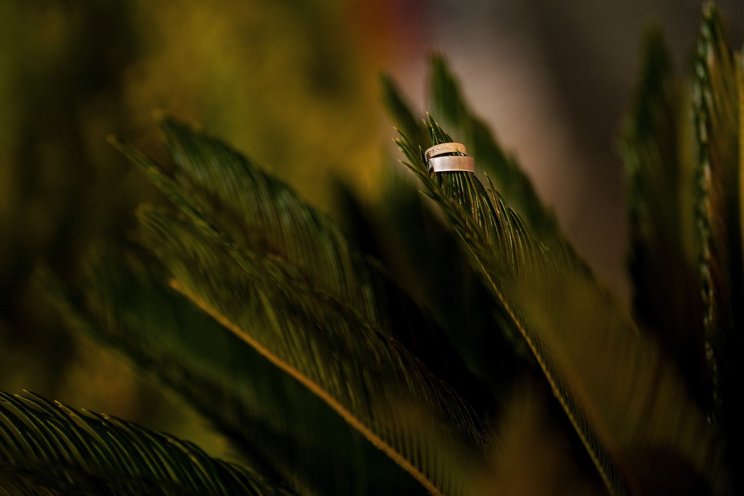 Maia & Alex. Fotograf evenimente. Fotograf nunta. Fotograf Botez. Mihaela Savu