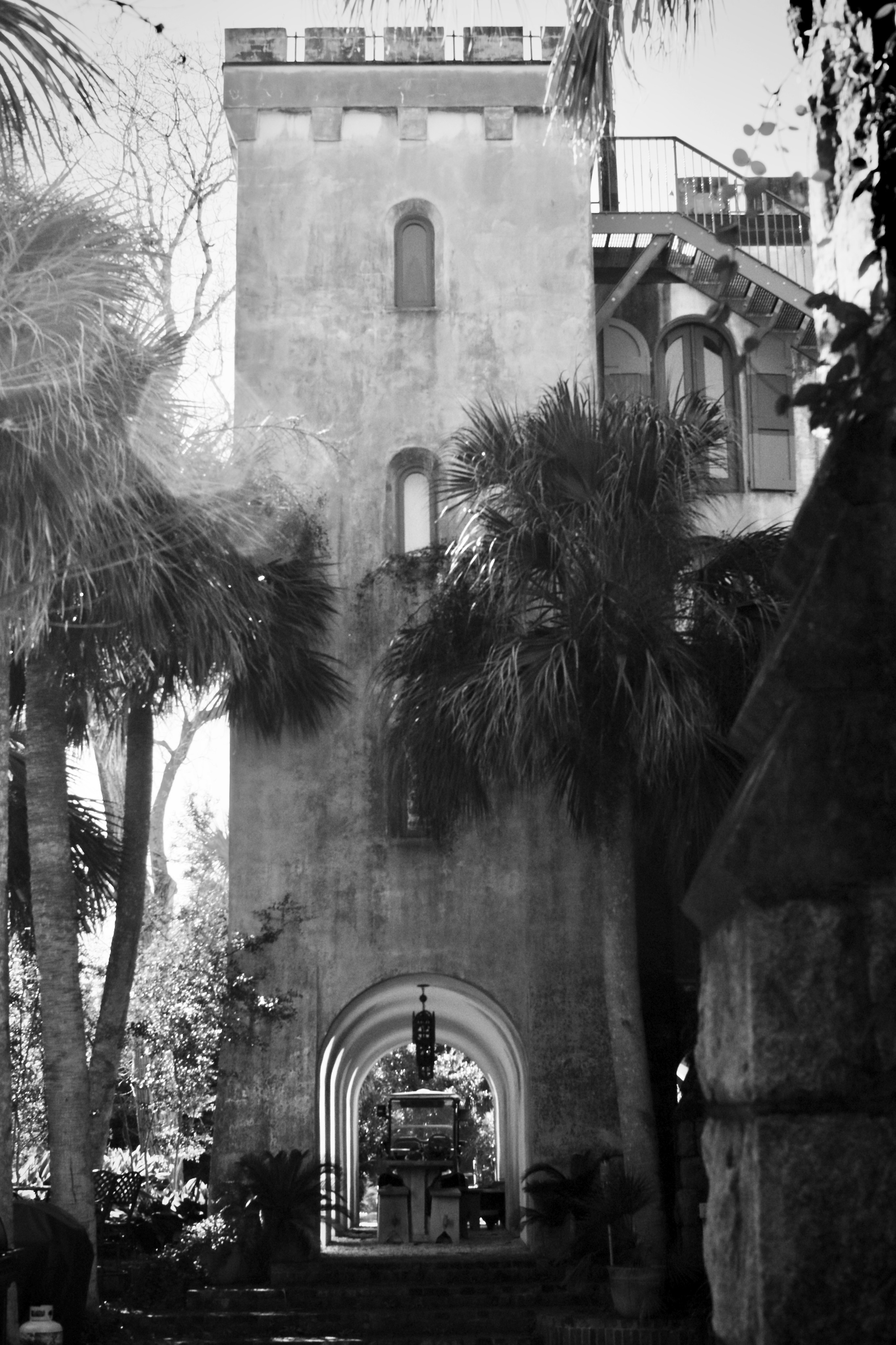 Monochrome. Sonny Photos