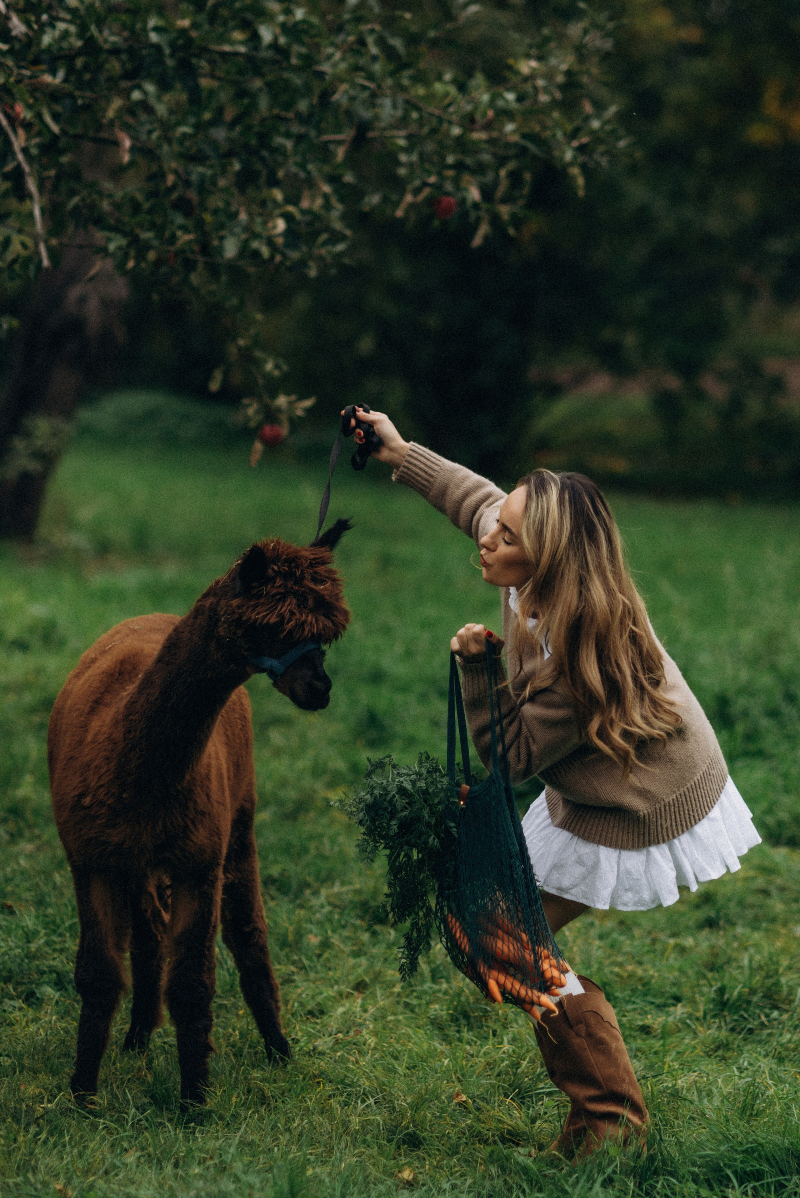 Семейная фотосессия с альпаками. Семейный фотограф Лейпциг, Германия