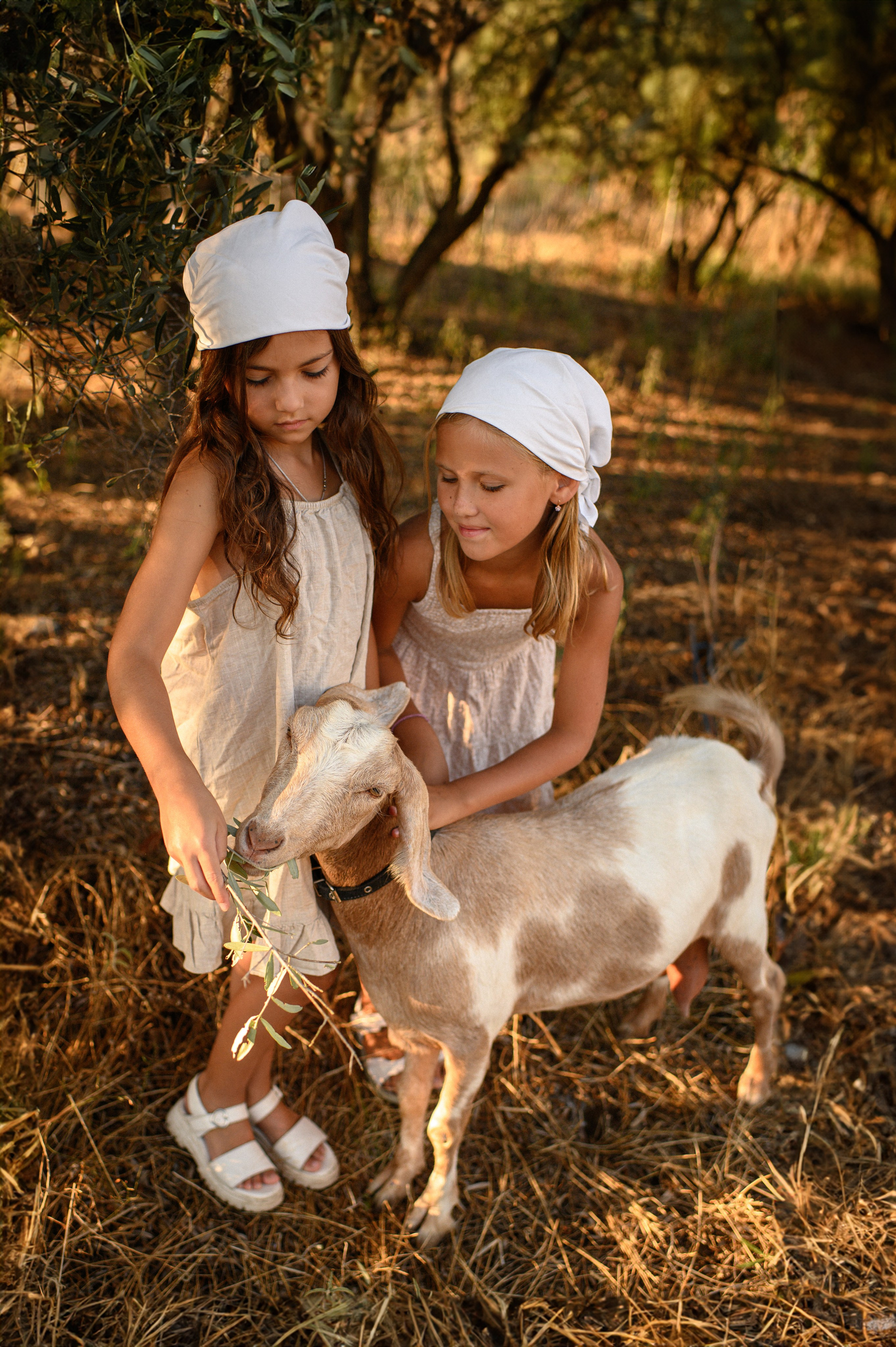 Goat. Family, children, portrait, and event photography in Thessaloniki