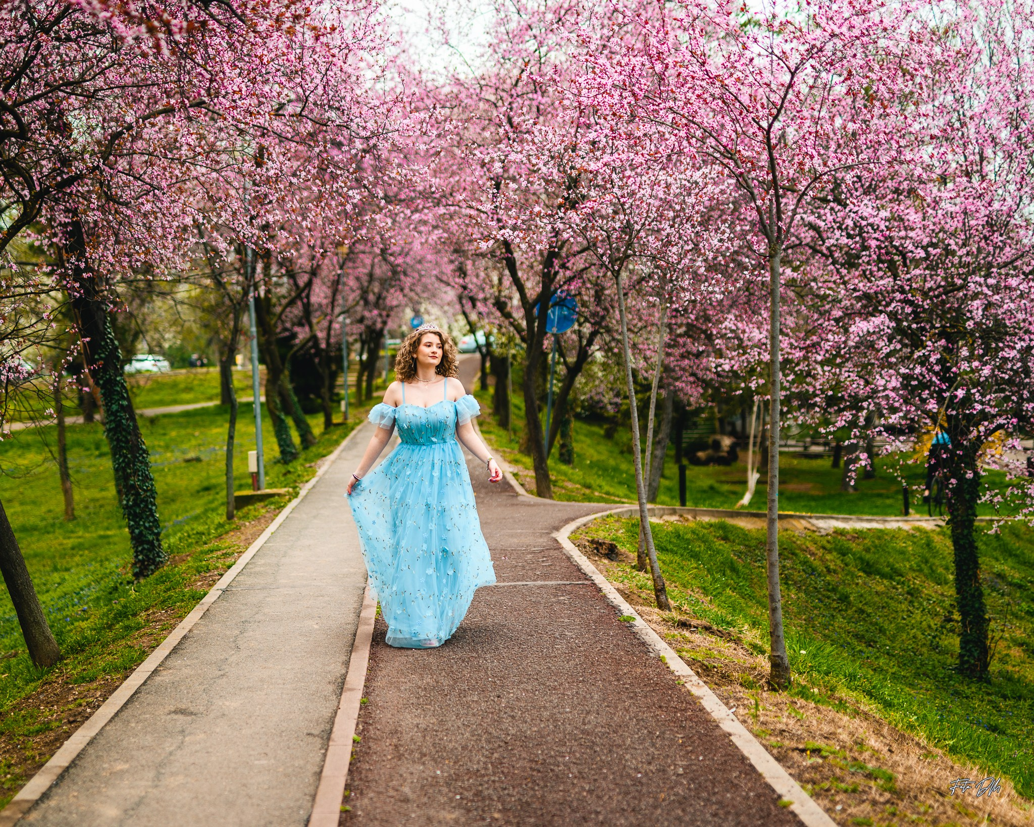 Alesia. Fotografie & Videografie de nuntă în Timișoara