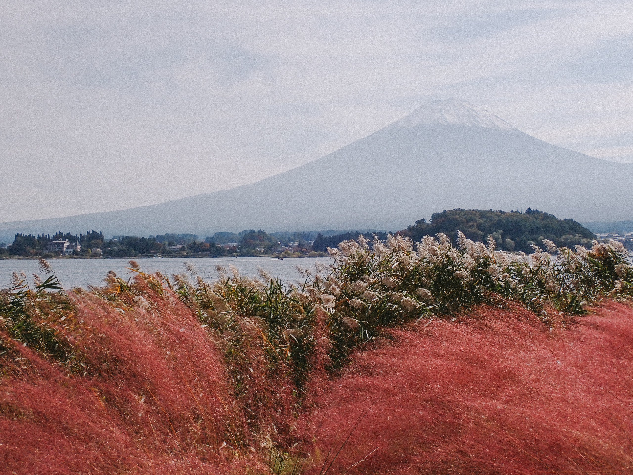 Japan. Faya Photo: Boudoir Photography by Australia’s Top Female Photographer