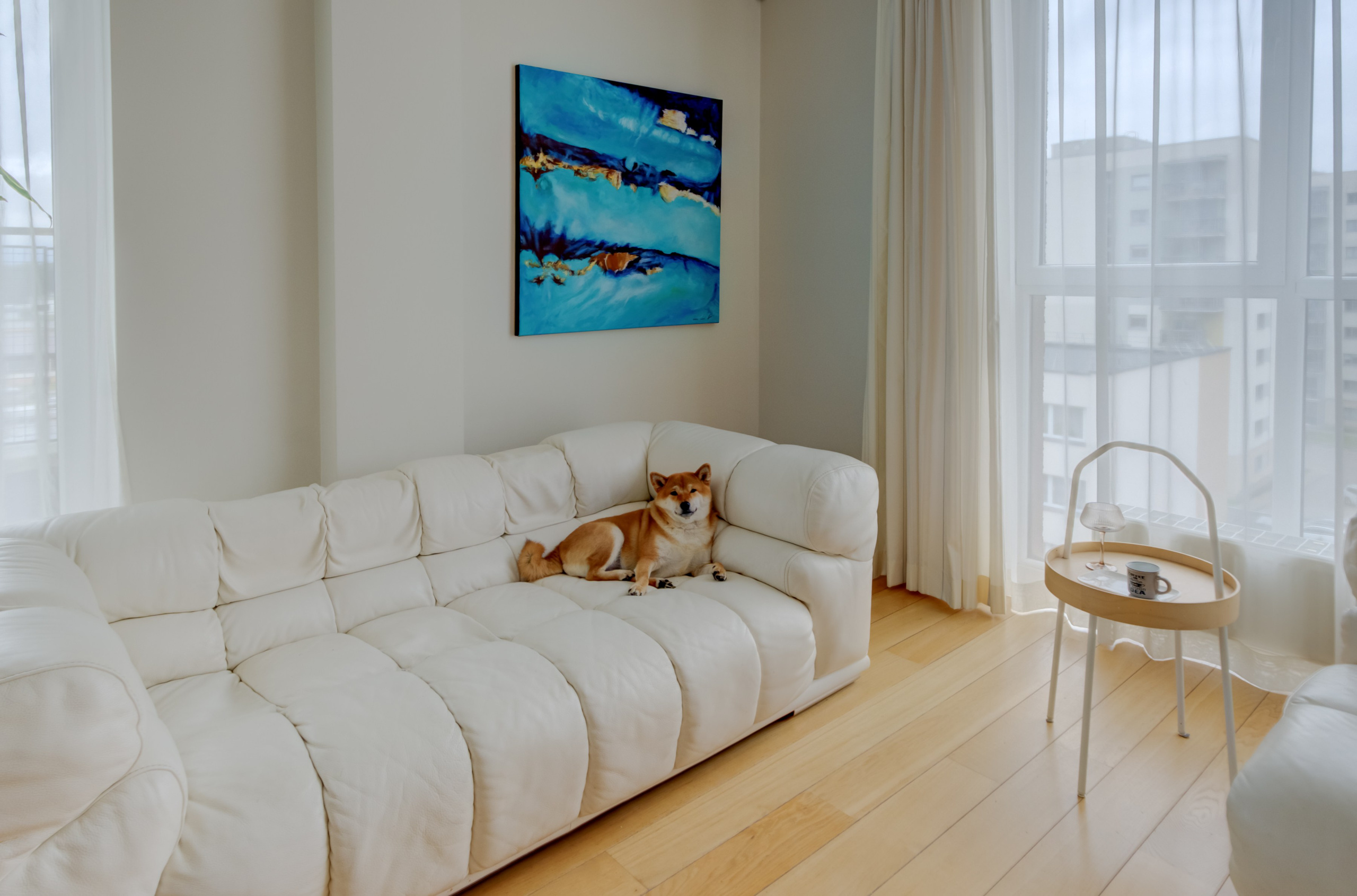 Bajorų kelias 17, 3k butas. Elina Sapiega fotografė Vilniuje