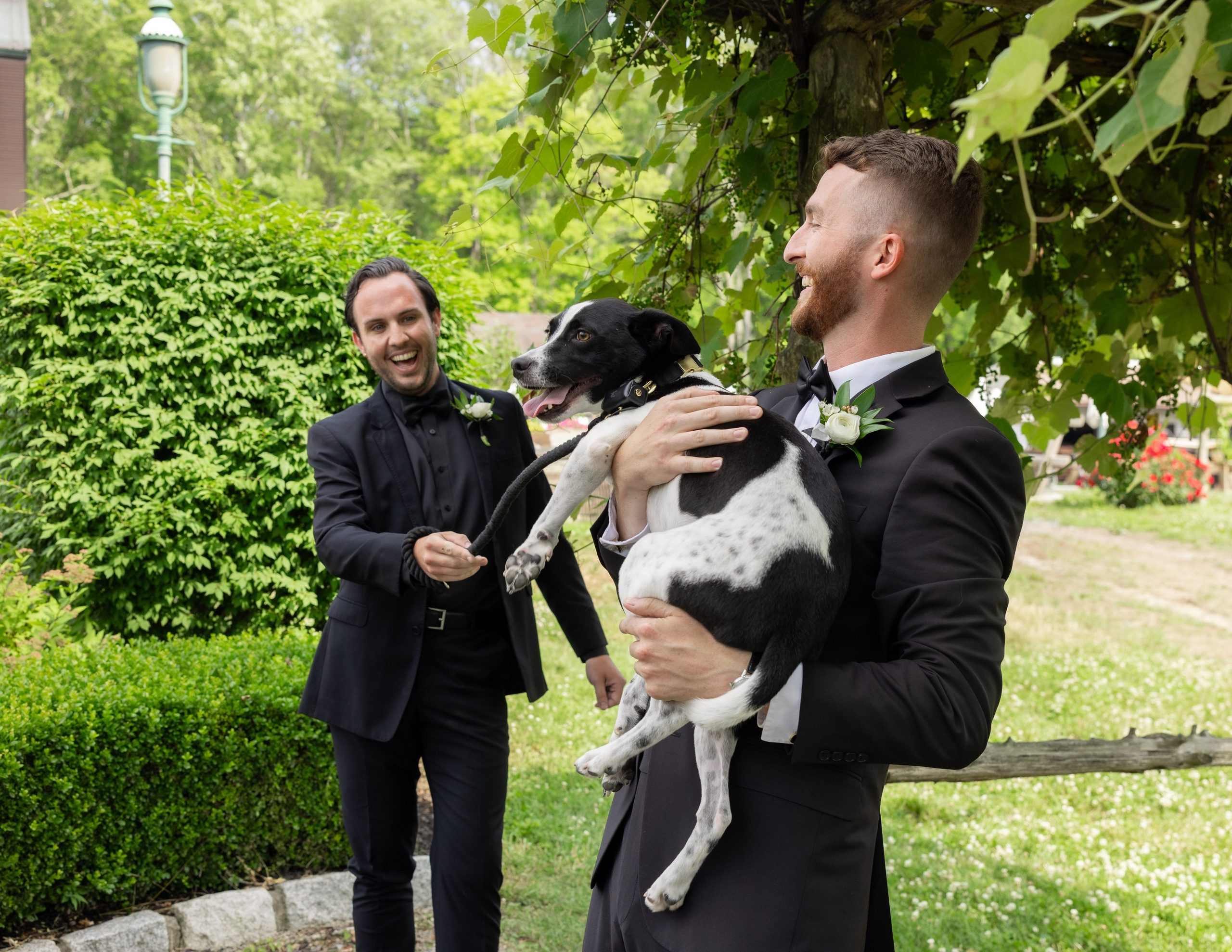 Angelica & Conor. Wedding Photo & Video