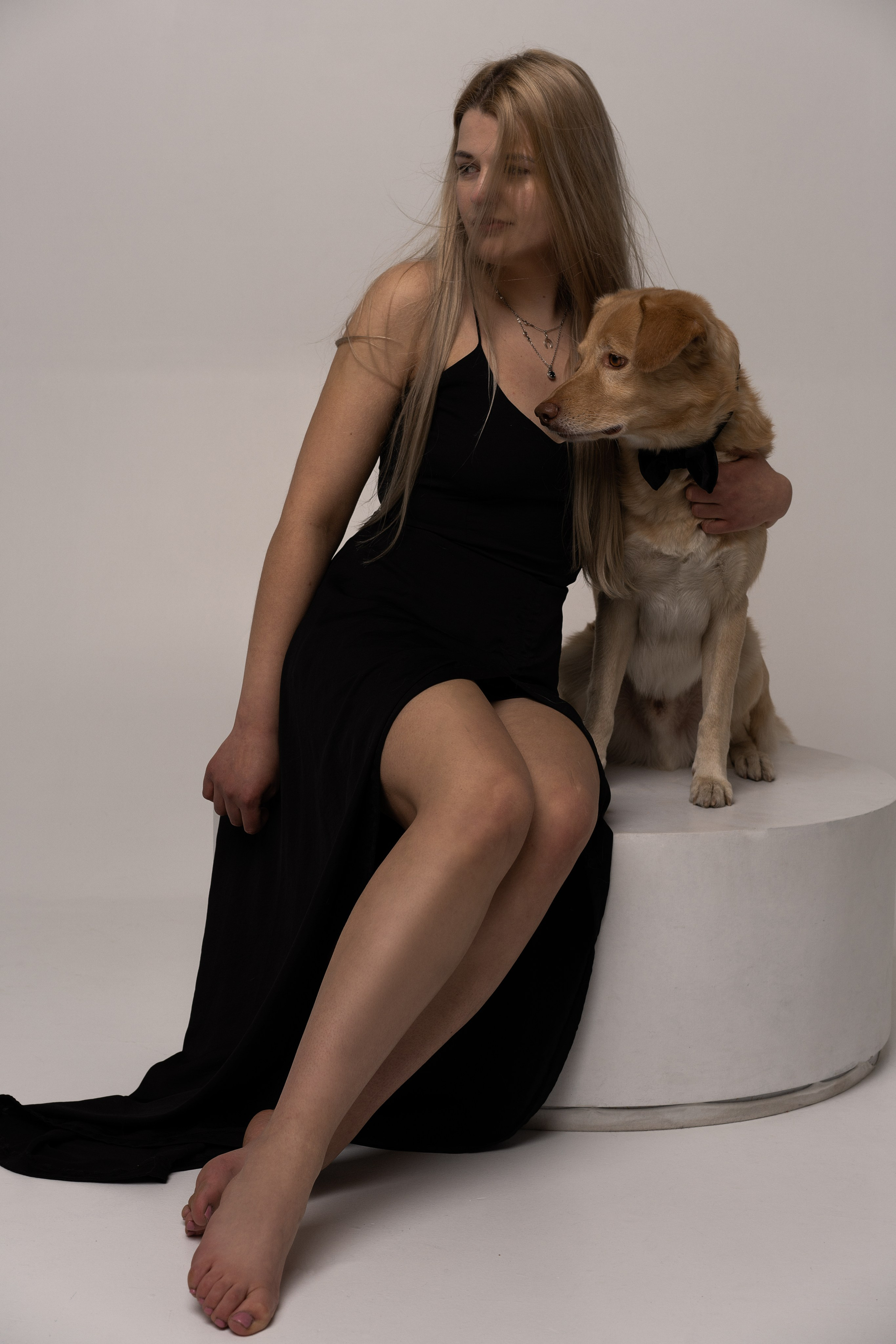 Studio with dogs. Sports and portrait photographer in Riga