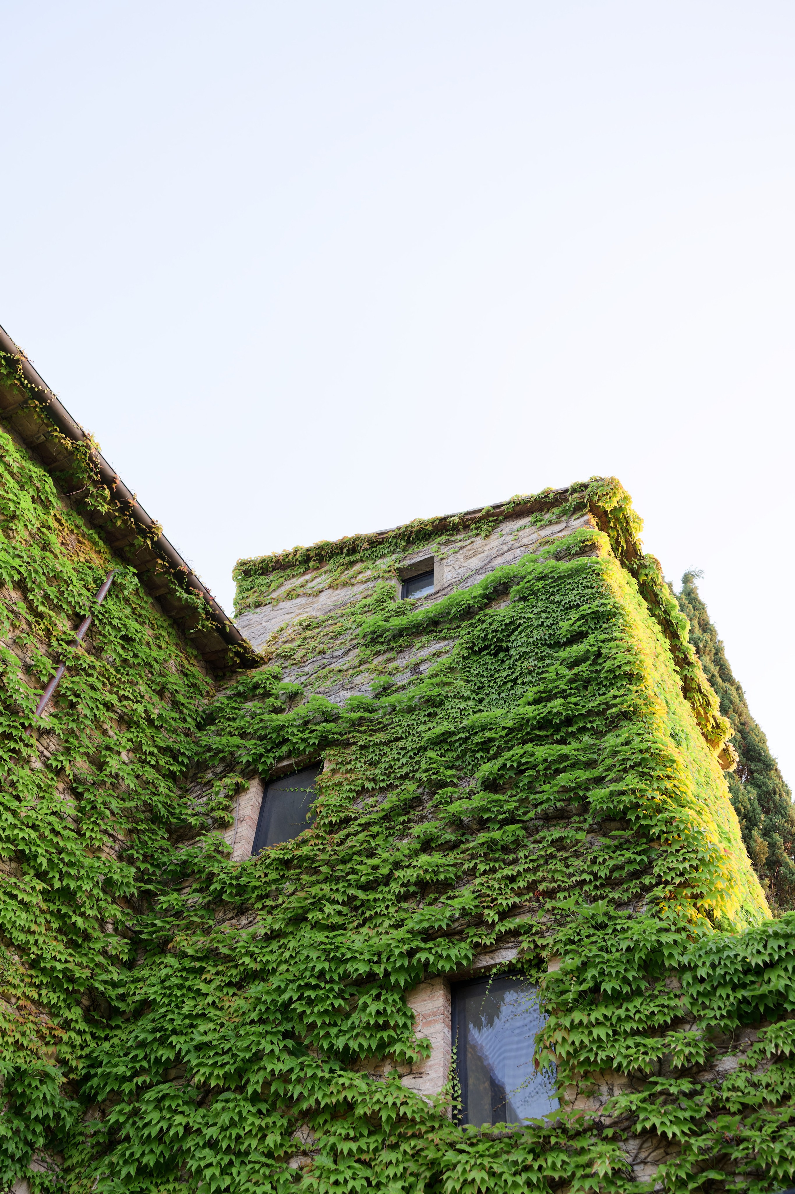 Wedding at Borgo Bastia Creti, Umbria Preview