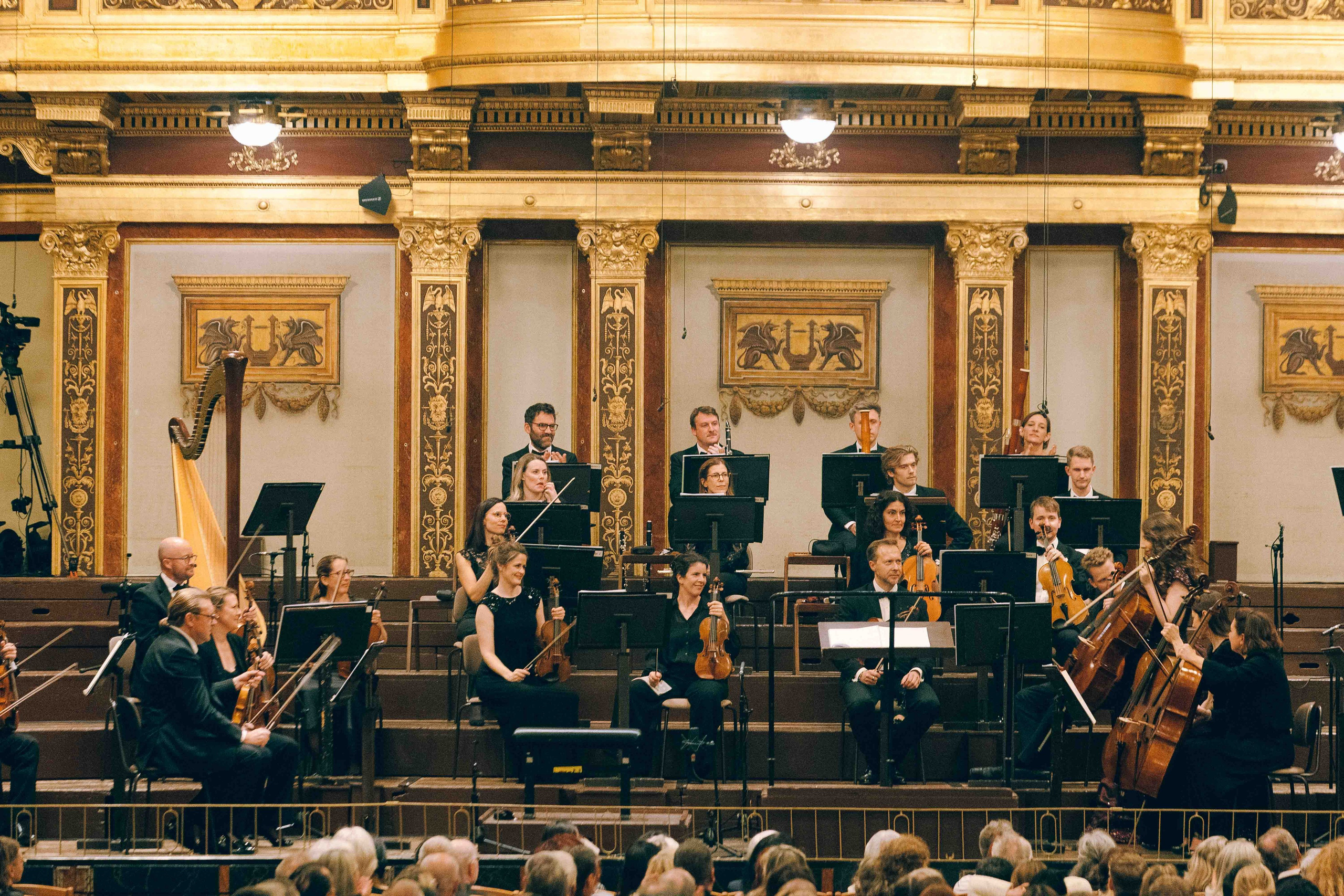 MUSIKVEREIN (VIENNA). Wedding&Event photographer Ismail Rzayev in Baku