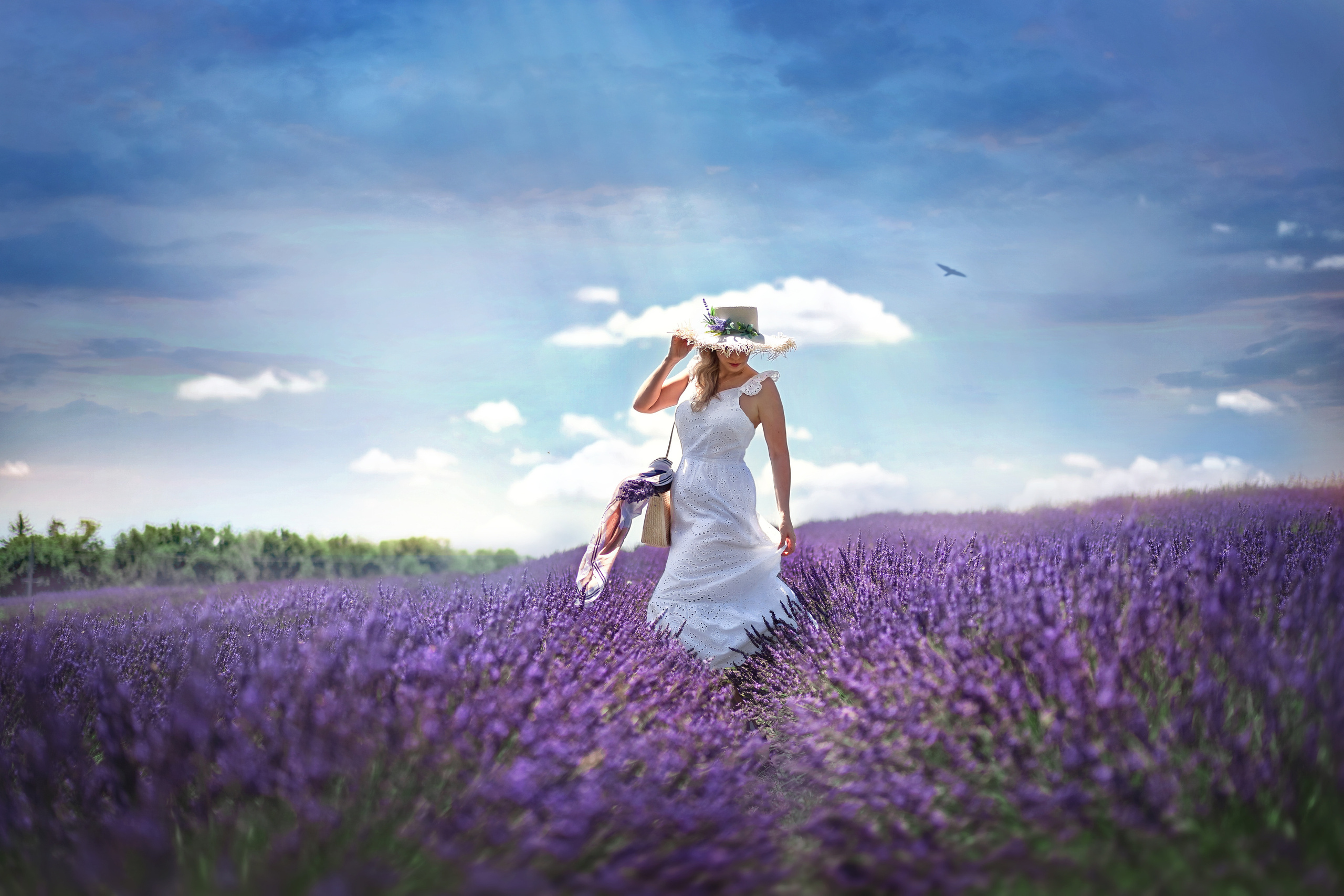 Gallery. Family, children, portrait and fine art Toronto photographer. I delive