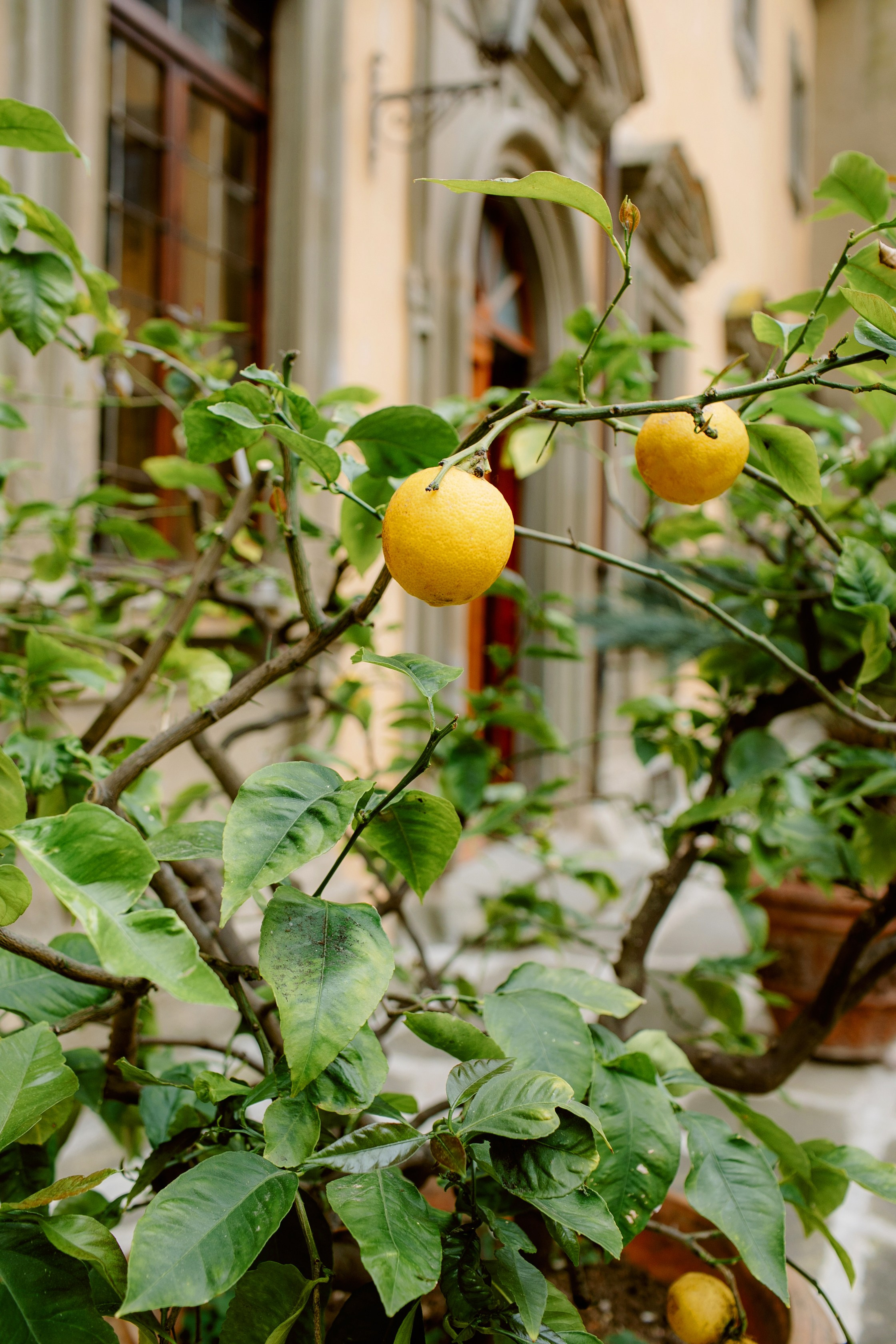 Tuscany Castello di Montegufoni wedding. Iurkovski PHOTOGRAPHY in Europe. Luxury destination weddings and events
