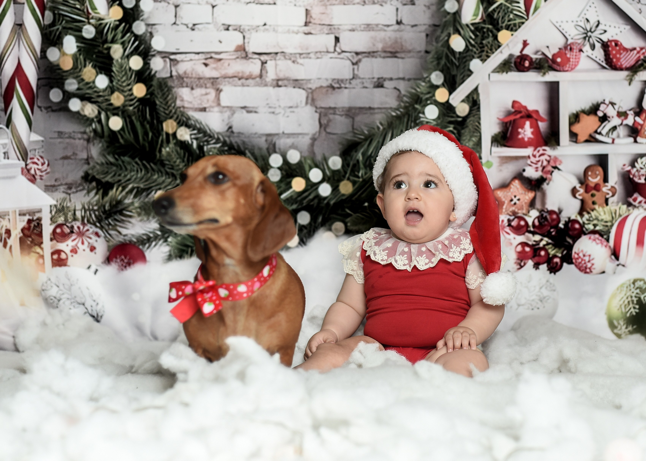Sesión 1er año de Rebeca. Temática: Frutillita + Mini Sesión Navideña. Fotografo de casamiento en misiones y fotógrafo de familia  Posadas