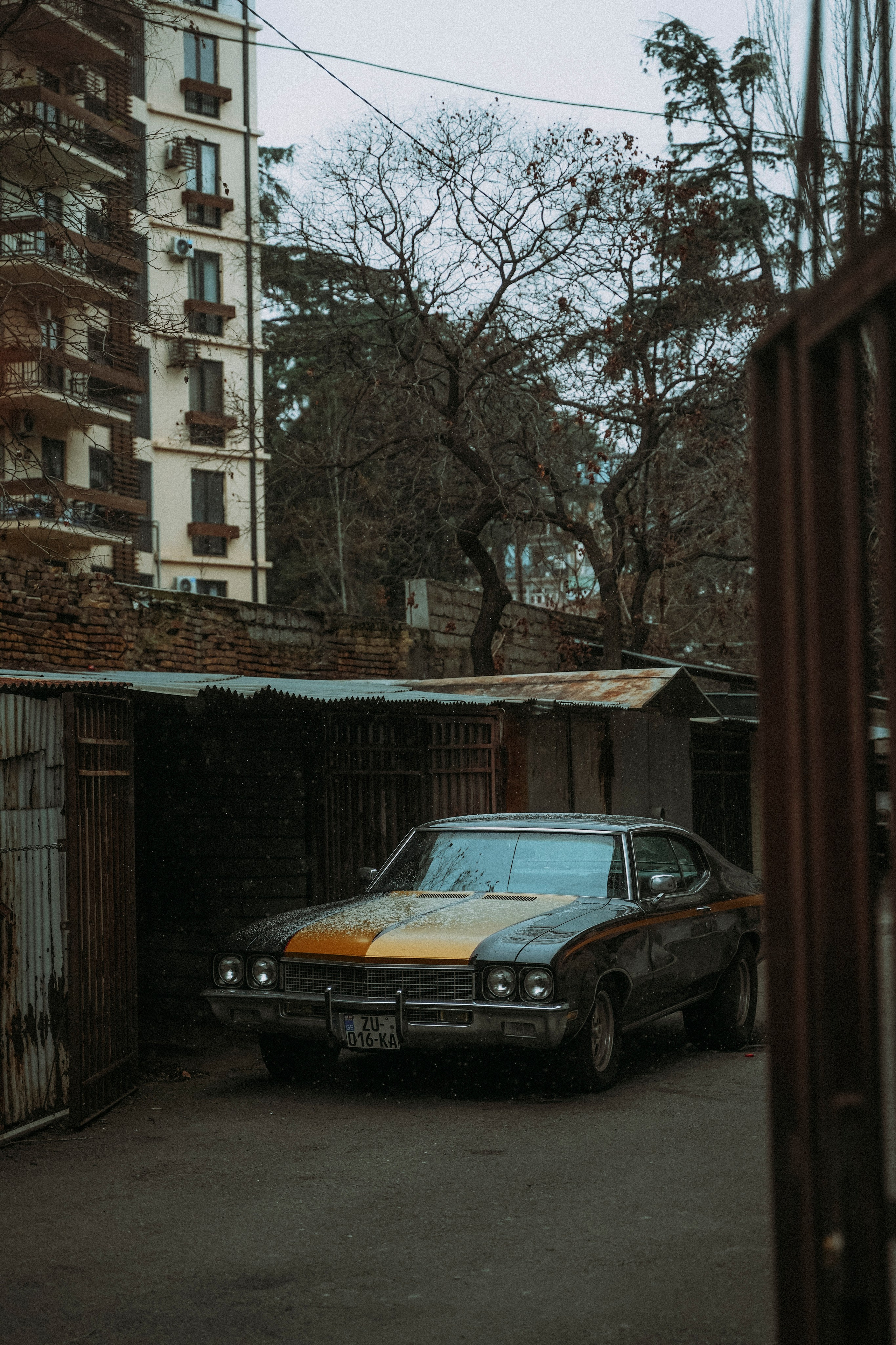 ТБИЛИСИ 2023-2024. Стрит-фотография, полная абсурда, идиотизма и красоты