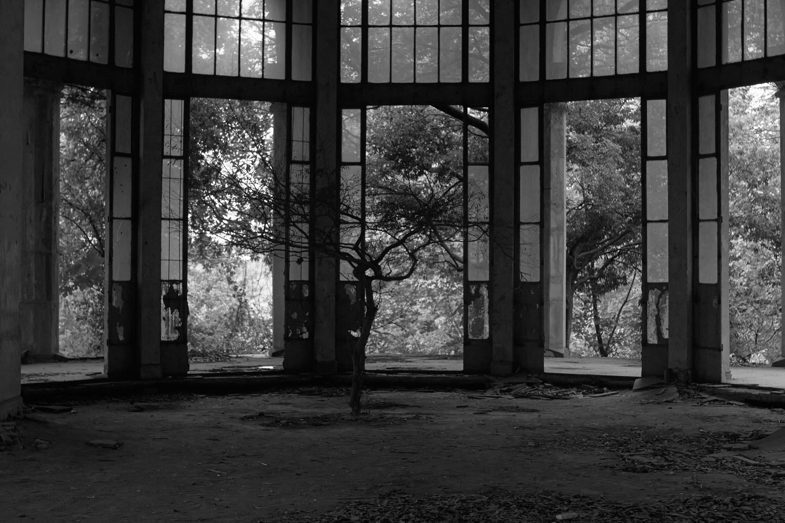 This is not your home. Visual artist