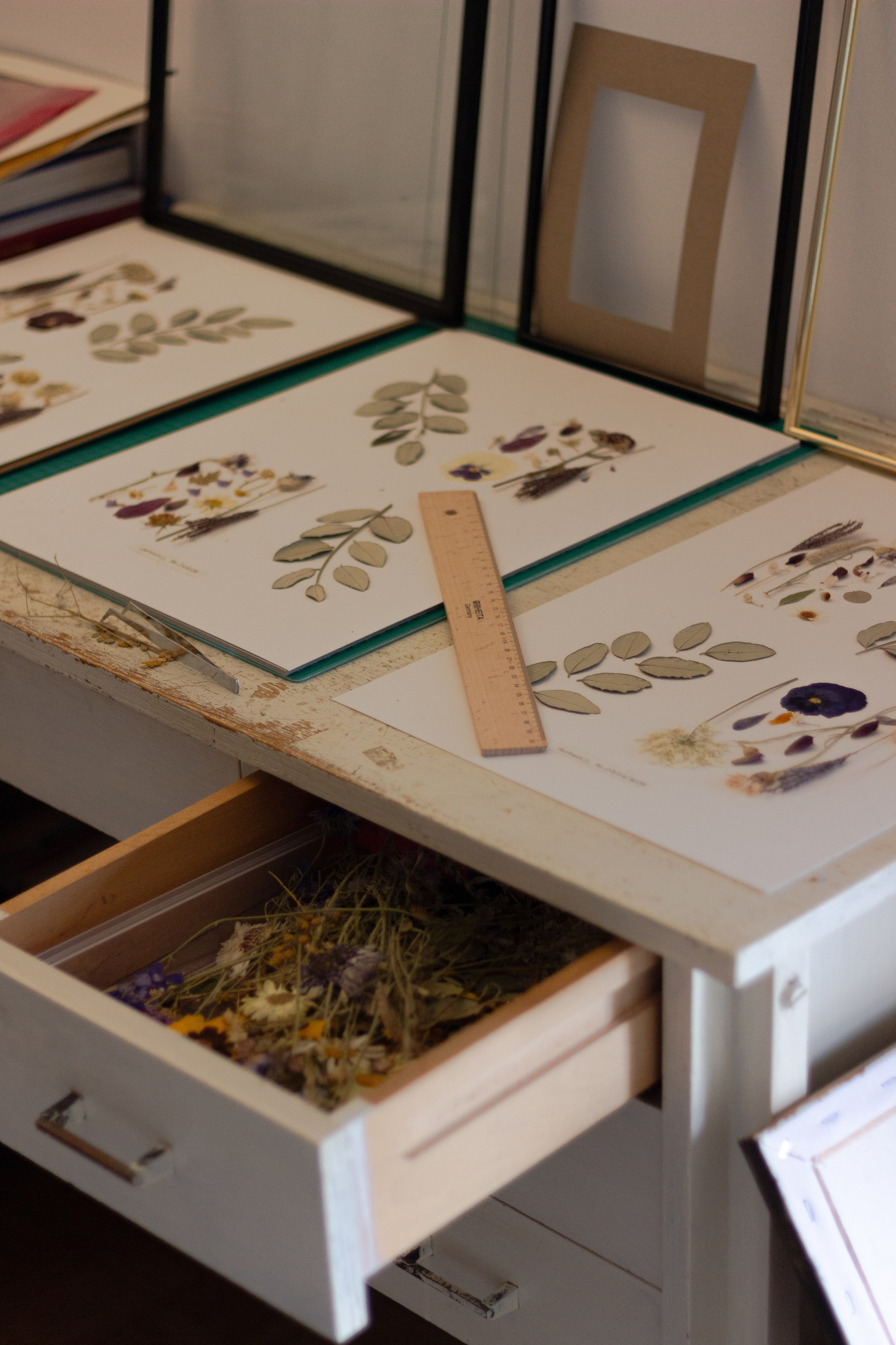 Portfolio. Herbarij studio