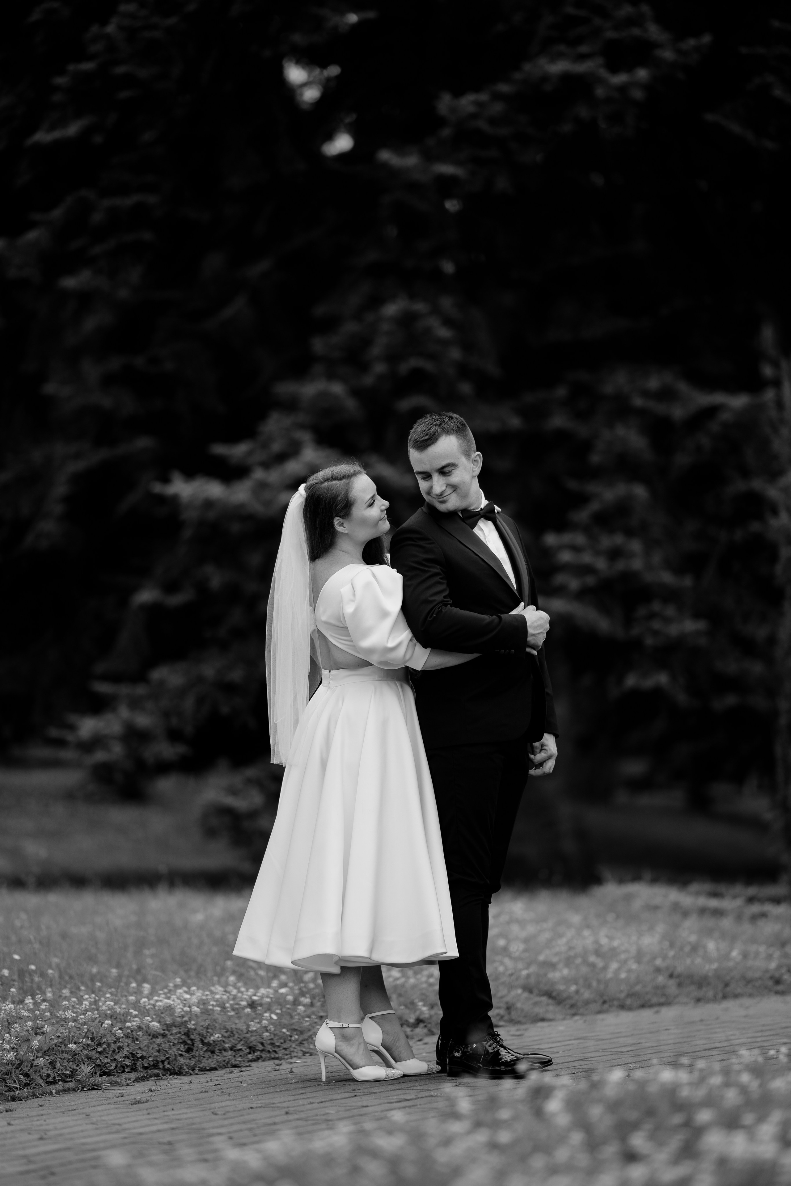Stefan & Dorotea. NSJ — Wedding Studio