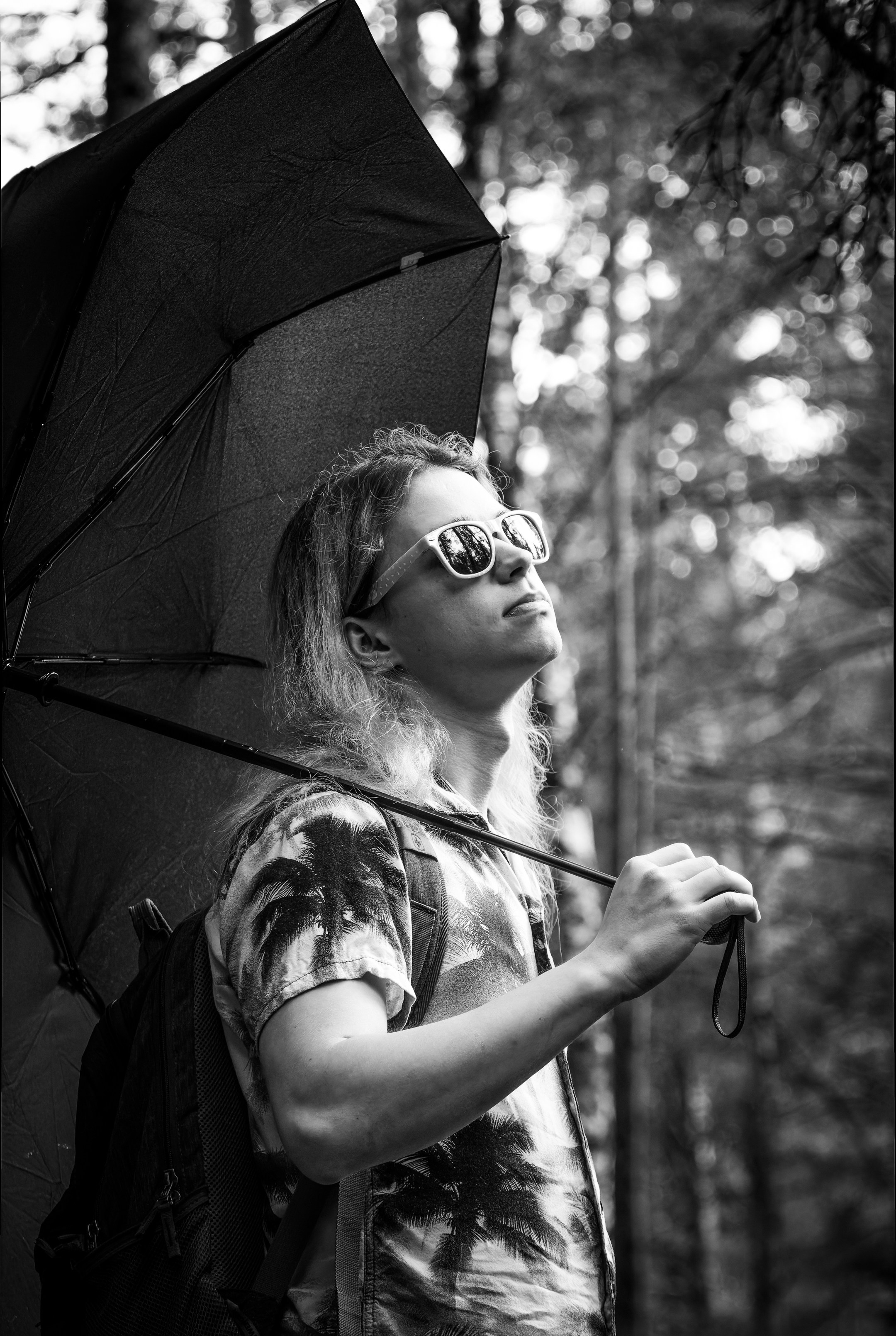 Mets, vihm ja jahedus (Dimitry). Nebula 25 — Fotod teie hingele