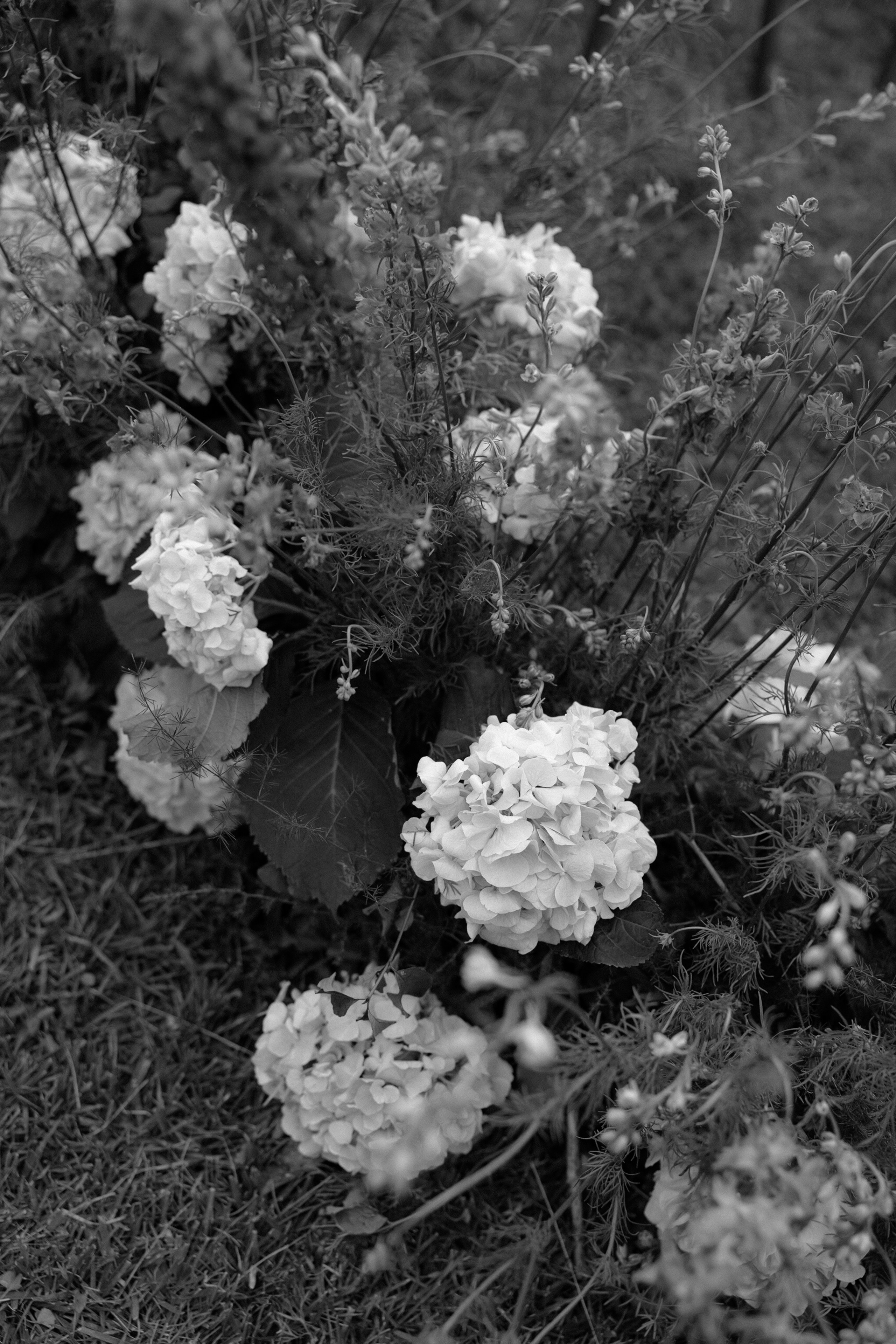 1. Wedding photographer Italy