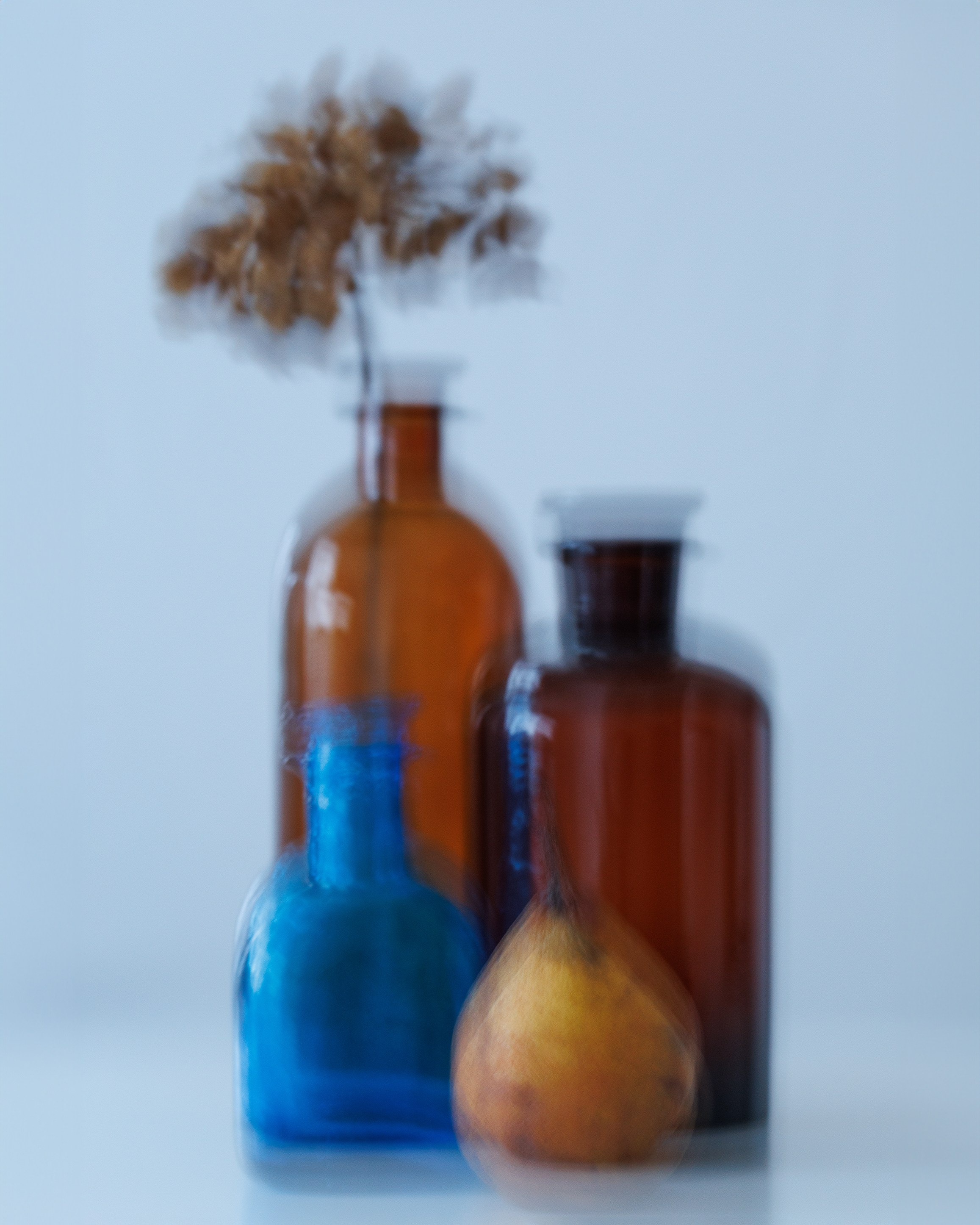 Flowers and Still life. Photographer in the Den Haag Rotterdam Amsterdam Osypenko Oksana