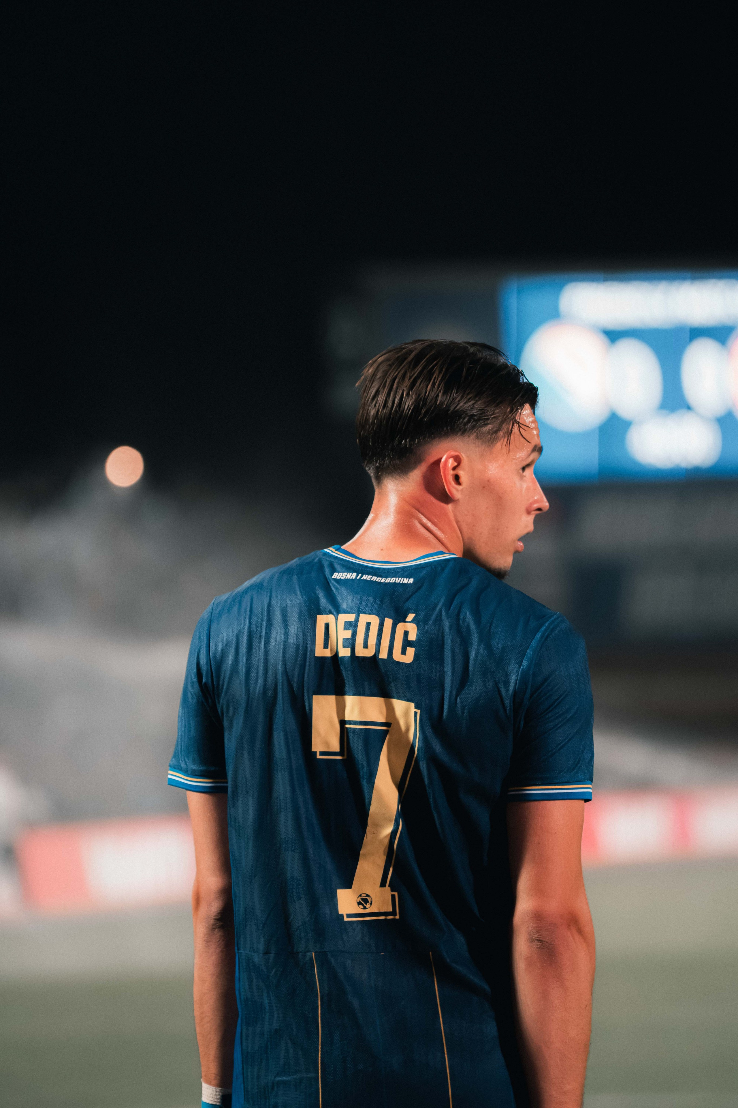 Bosnia and Herzegovina — National Team. Ammar Šabić