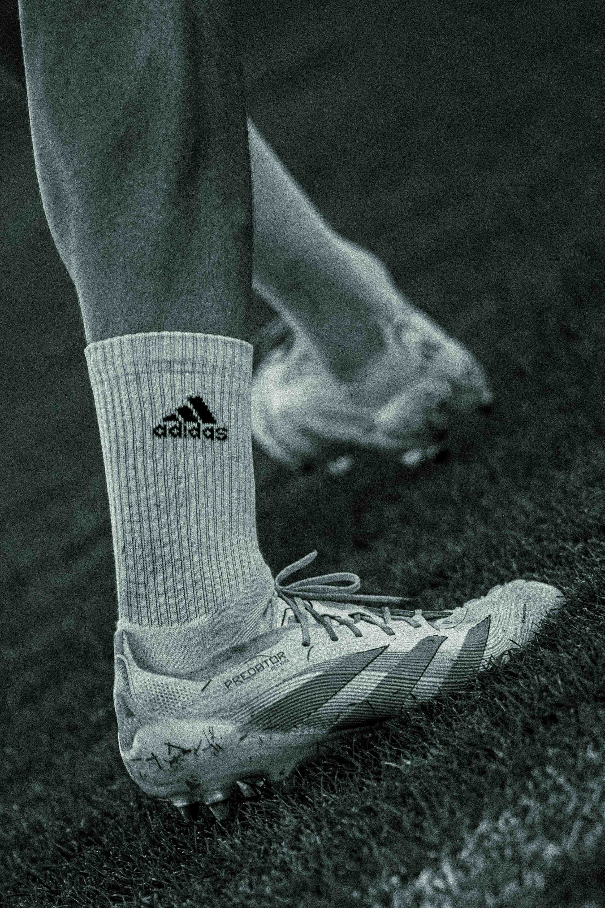 FK Sarajevo — 2025/2026