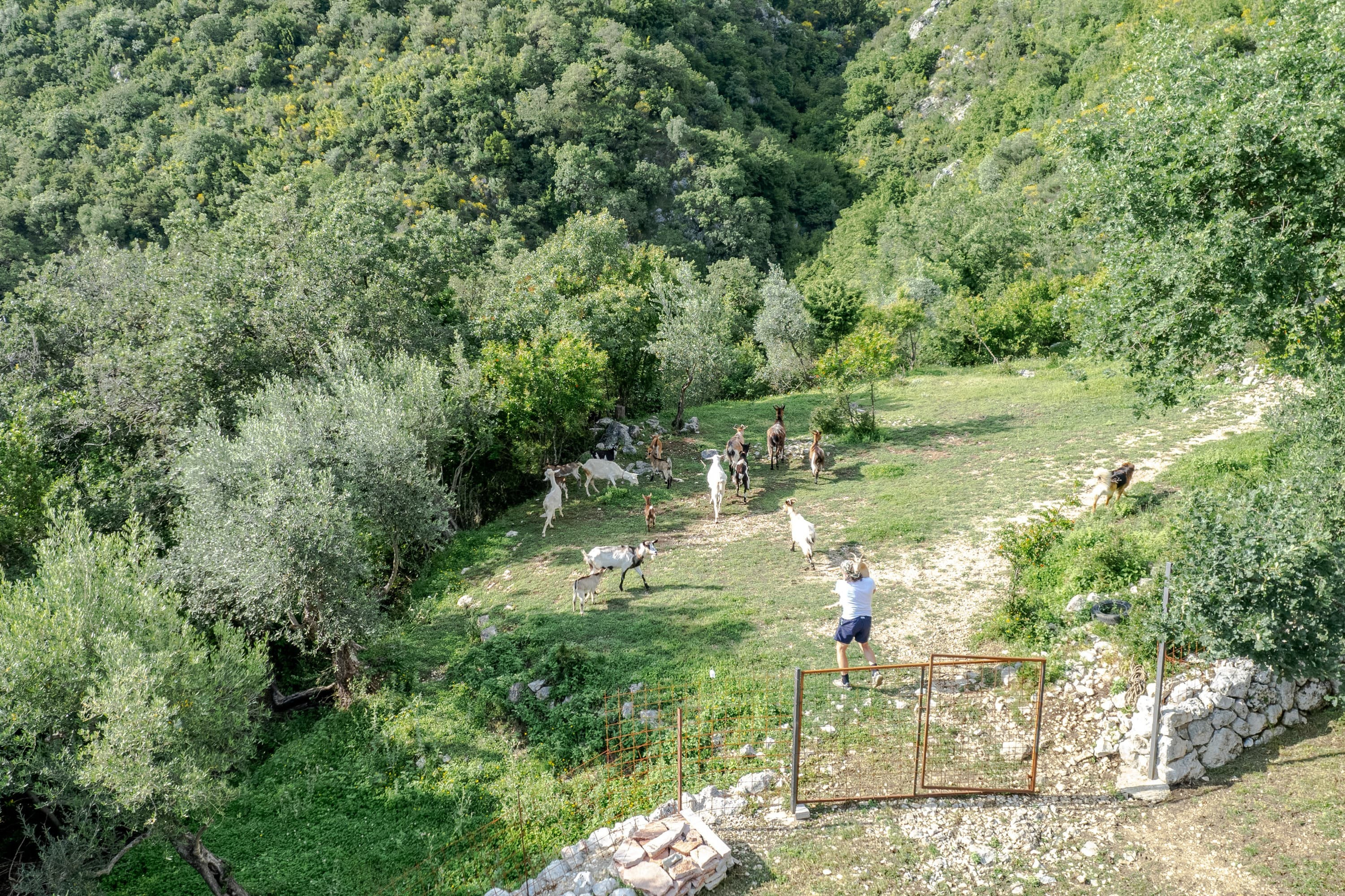 Real Estate Photography. Montenegro. EVAN ARISTOV WEDDING PHOTOGRAPHY — Seattle Wedding Photographer