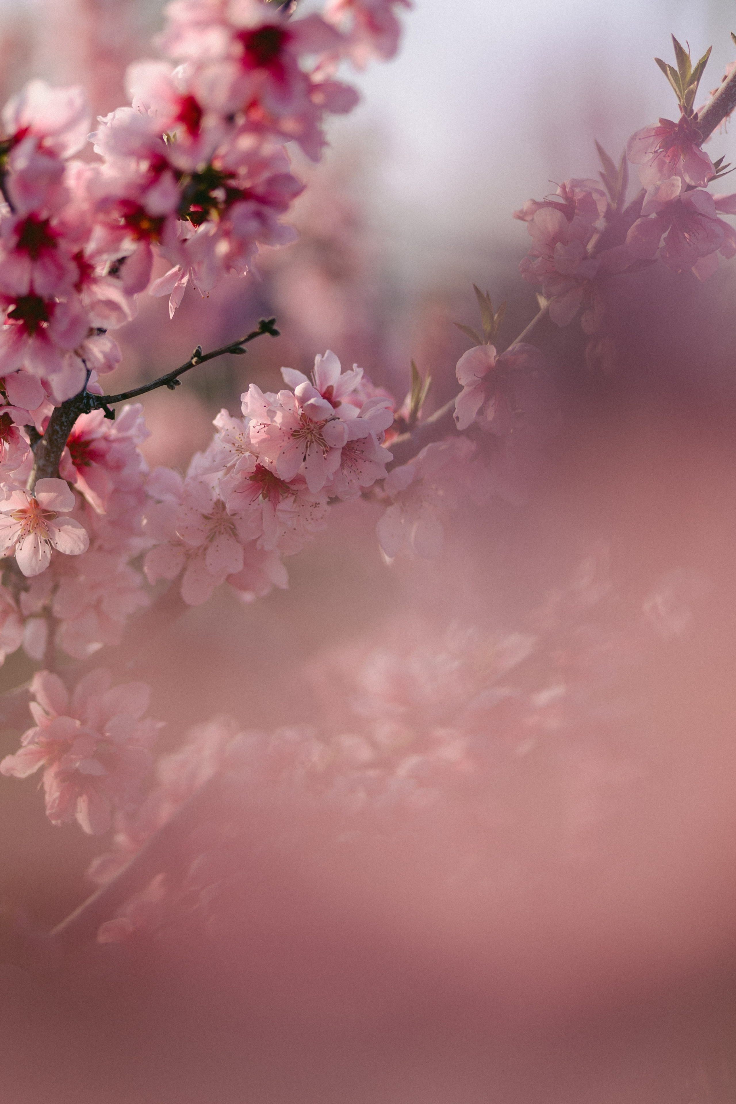 Evgenia. Photographer Anna Nazarenko