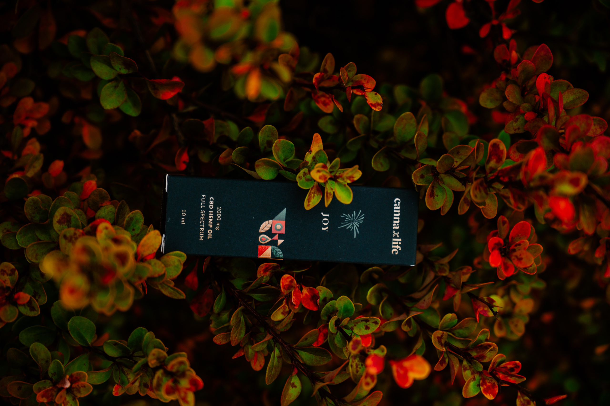 CannaXlife CBD products. ANNA-MARIA PHOTO CONTENT CREATOR — фотограф, эстет, художник и визуальный эксперт в Instagram, работающий в Праге