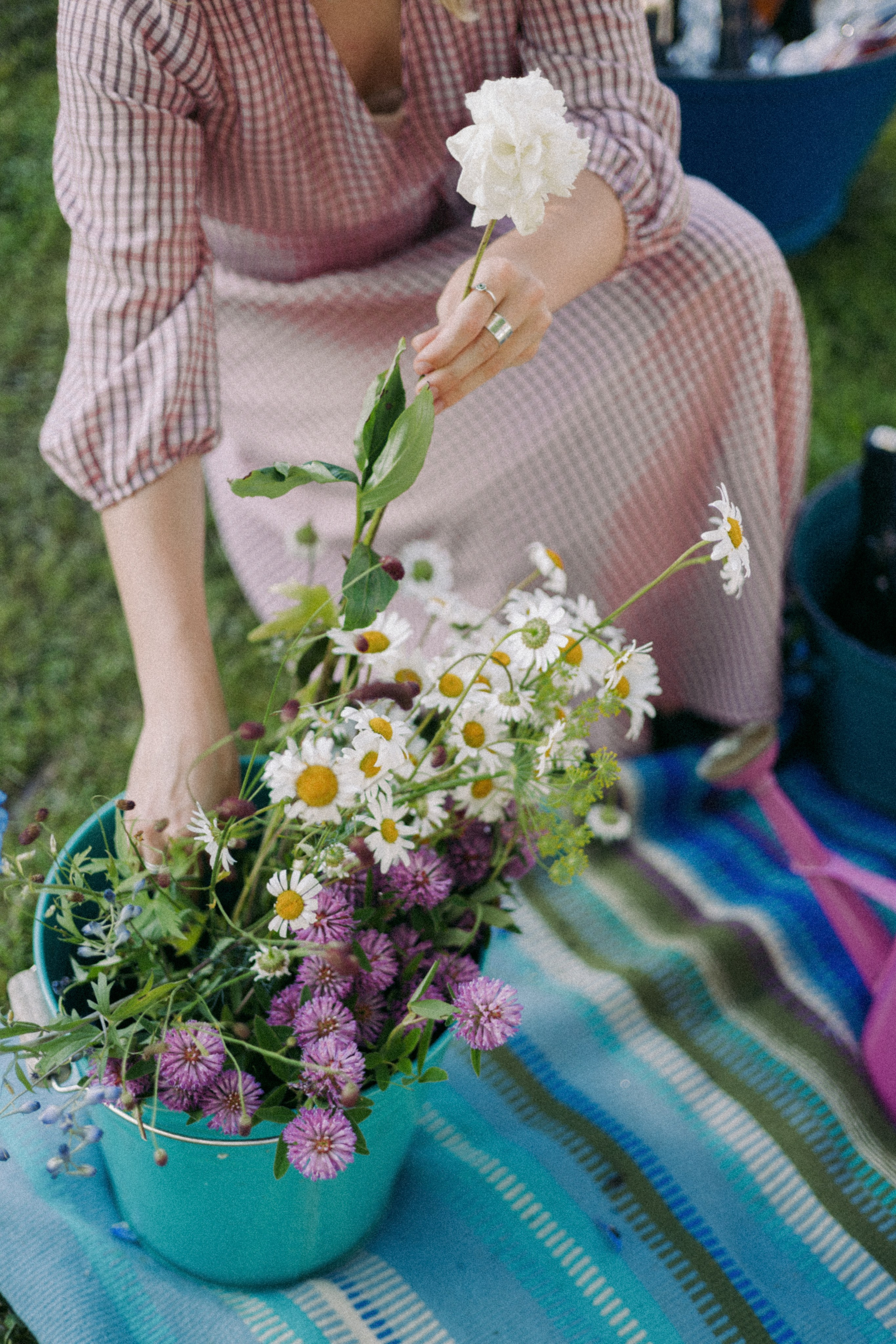 Vasara sode. Портретный фотограф Александра Самозванова