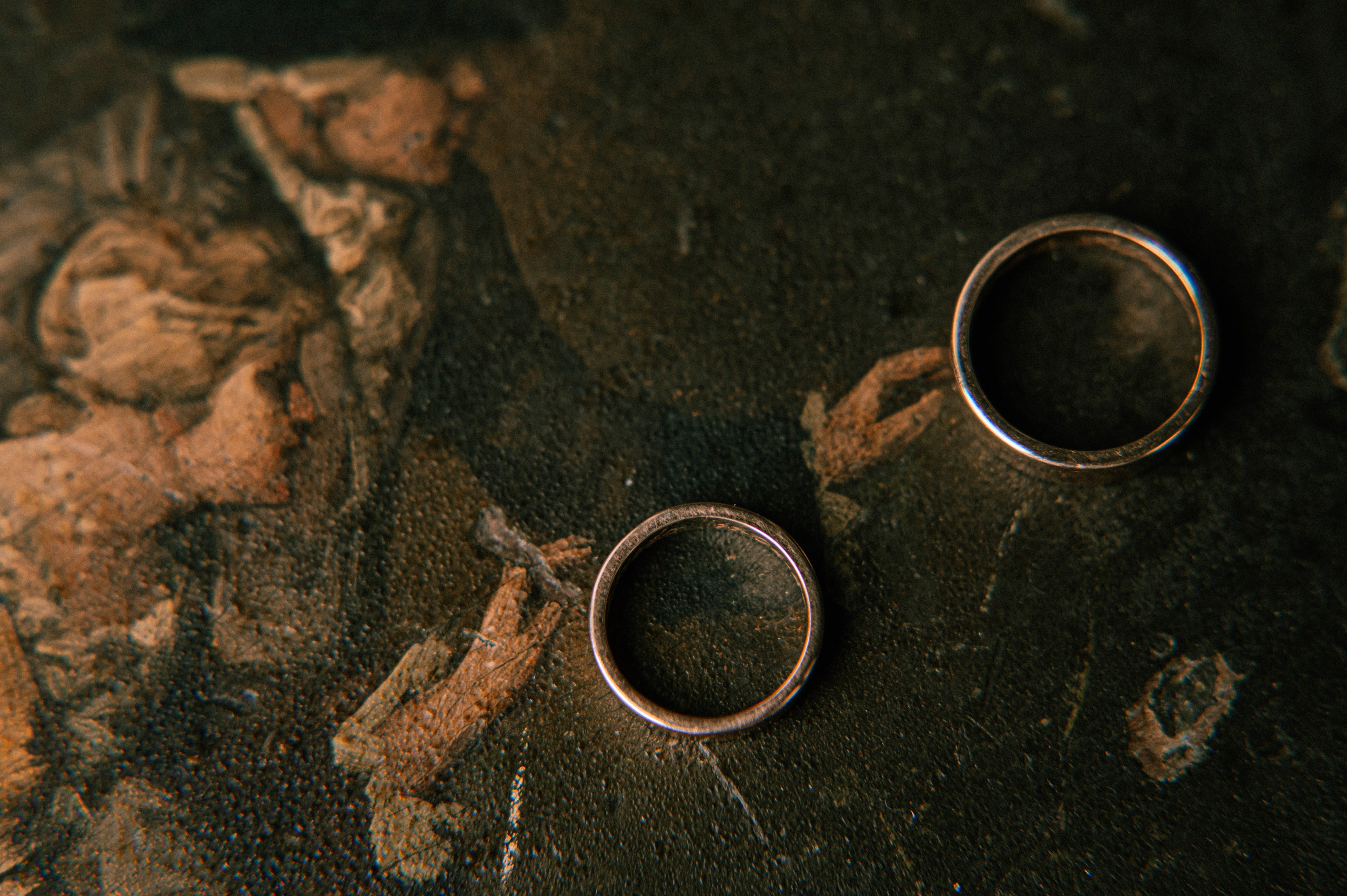 Alfredo i Alina. Home page