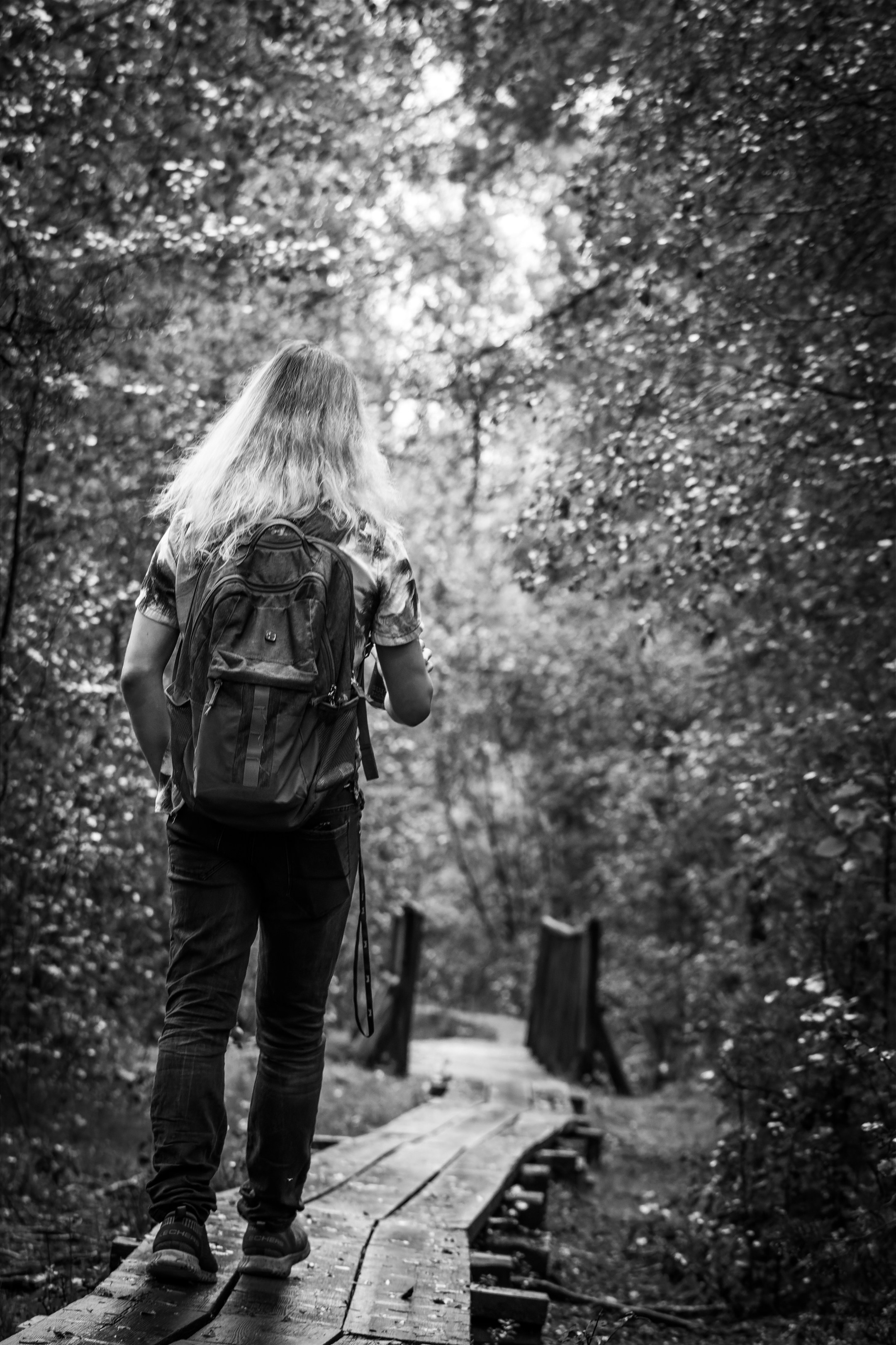 Mets, vihm ja jahedus (Dimitry). Nebula 25 — Fotod teie hingele