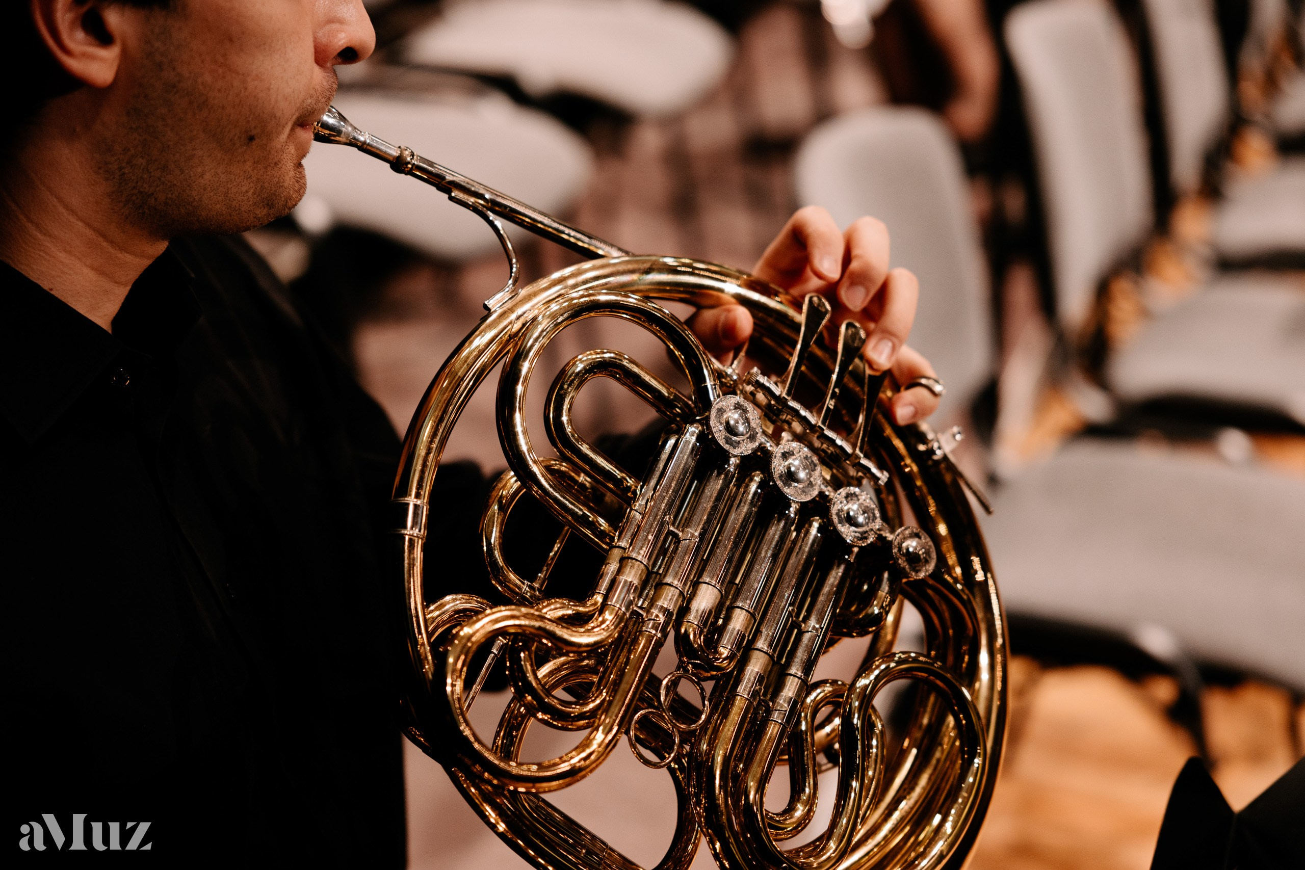 Koncert Karnawałowy. Fotograf Ślubny Warszawa - Sesje Biznesowe Rodzinne Eventy