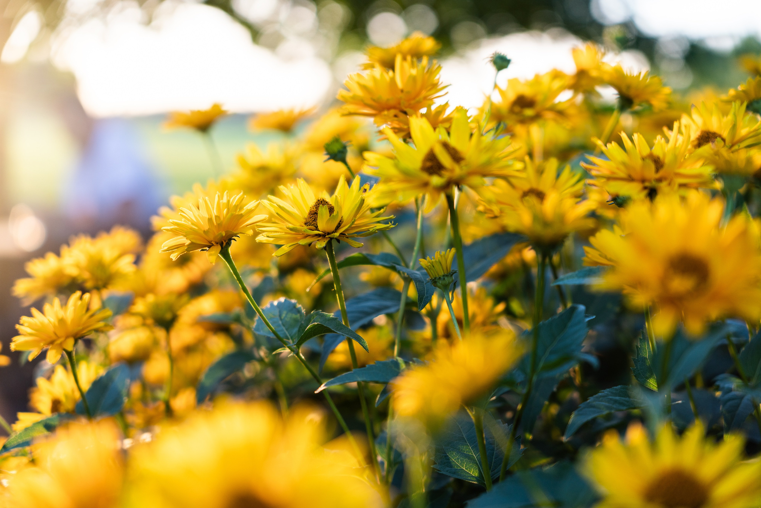 Kāzas līdz rītausmai | Brāļa kāzas. ROLFS VENDIŅŠ - KĀZU FOTOGRĀFS | Rīgā un visā Latvijā