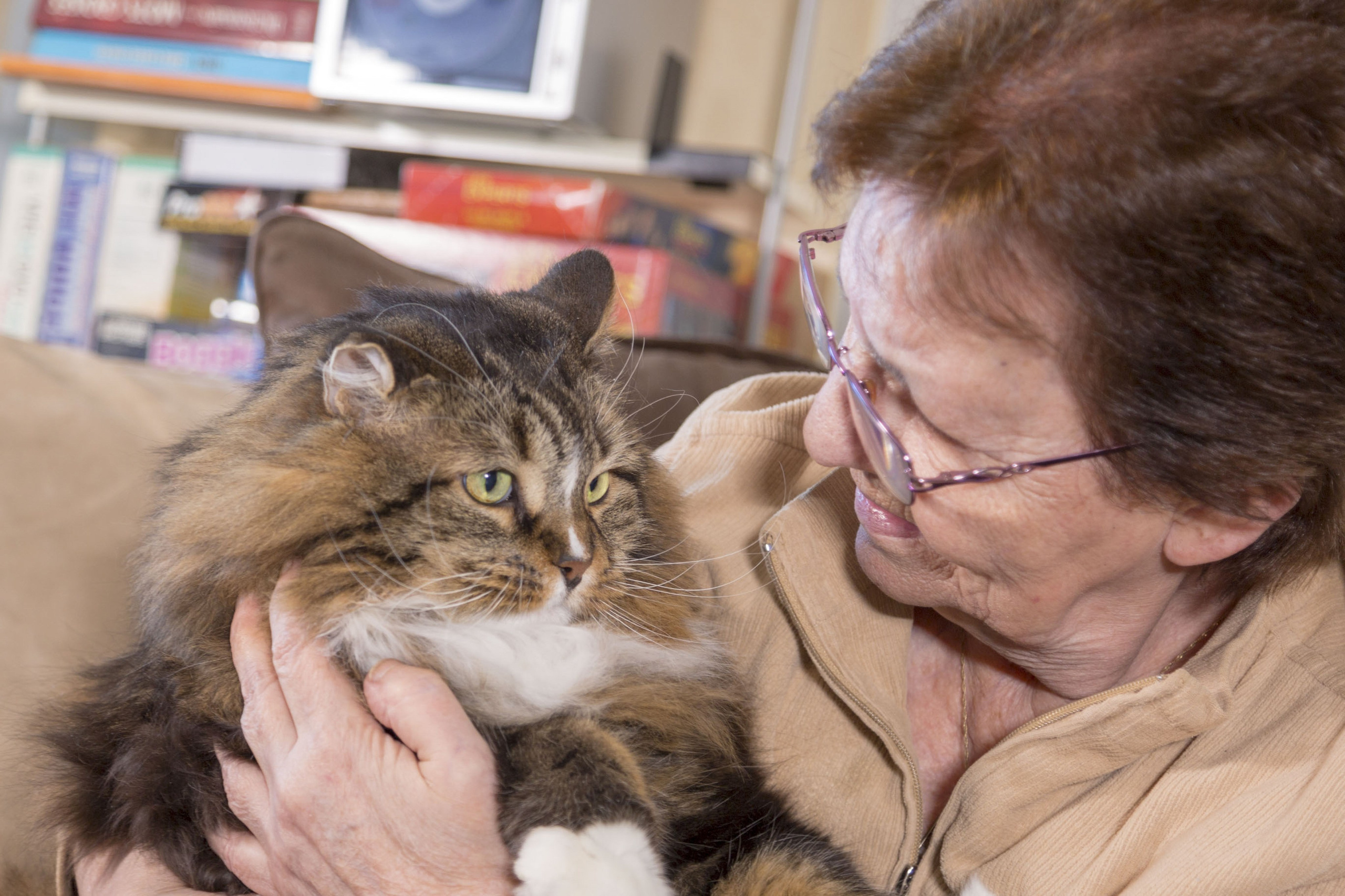 Animal de Compagnie. Studioplaza8